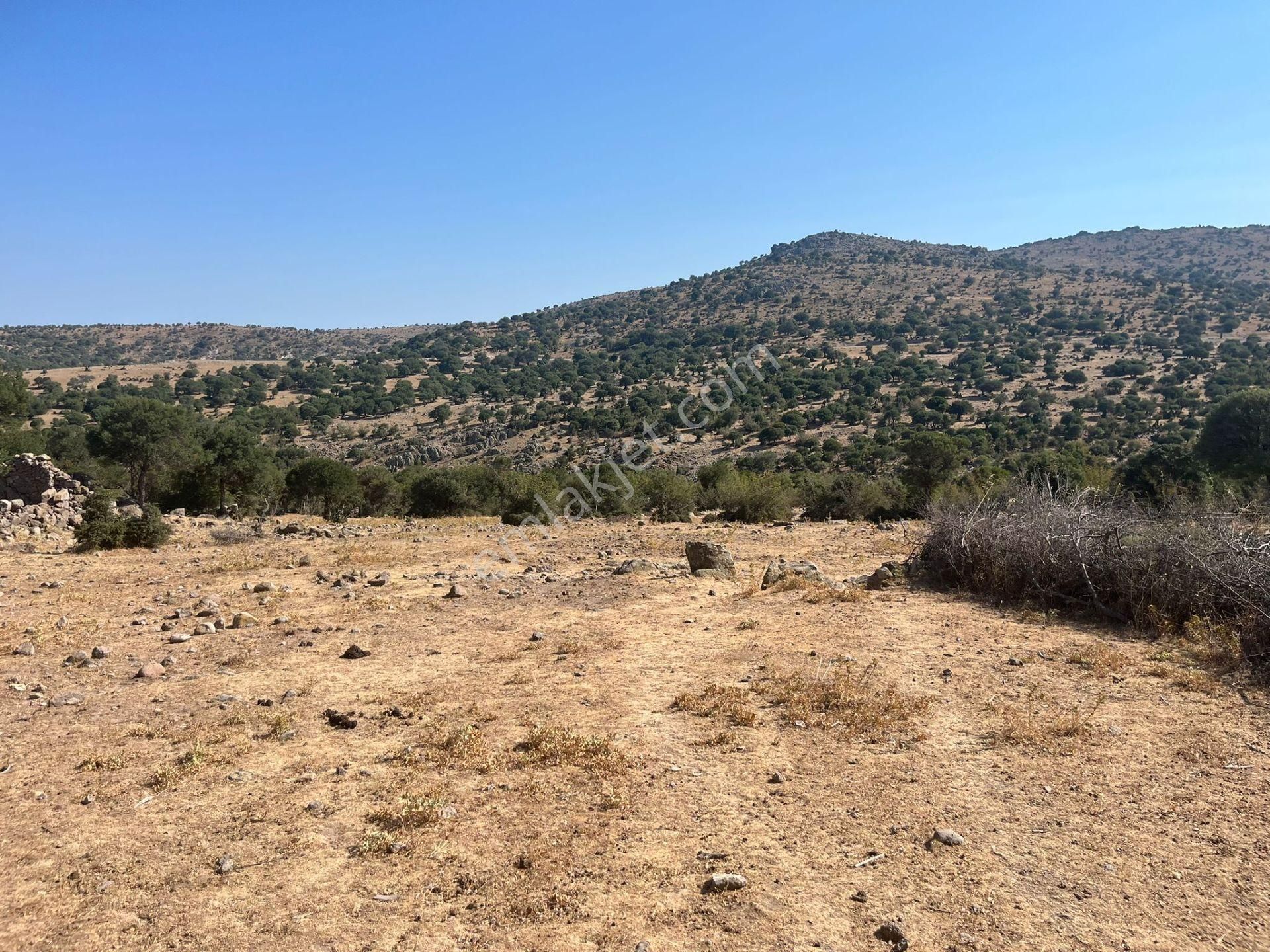 Çanakkale Ayvacık Çınarpınar’da Satılık Tarla! - Görsel 6