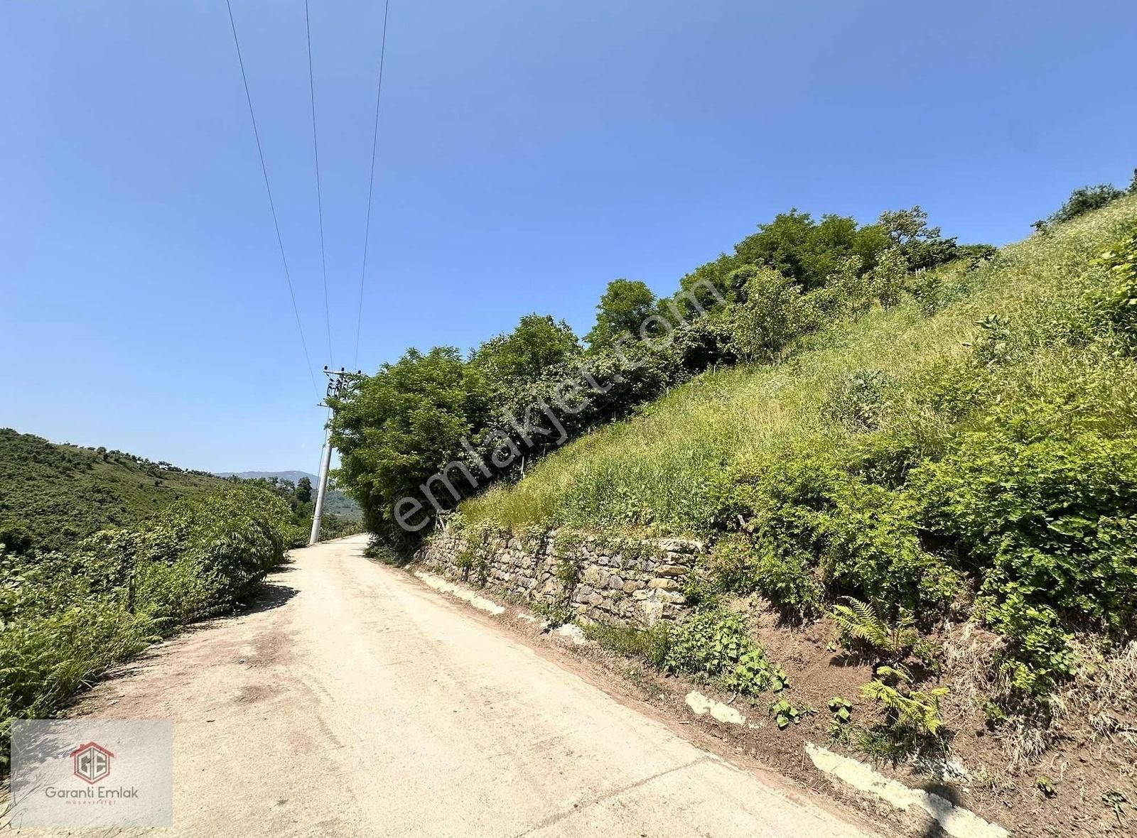Yıldızlıda Satılık 1.321m2 Satılık Bahçe Yol Kenarı