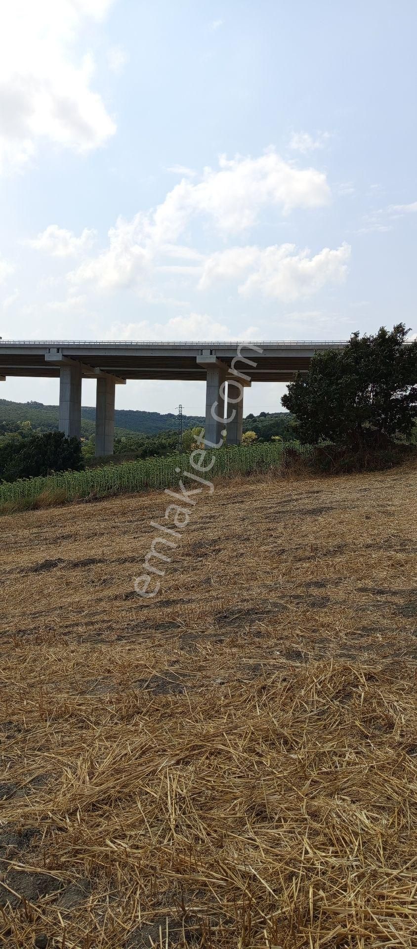 Bursa Nilüfer Çaylı Mahallesi Satılık 4.608 Mt Tarla - Görsel 7