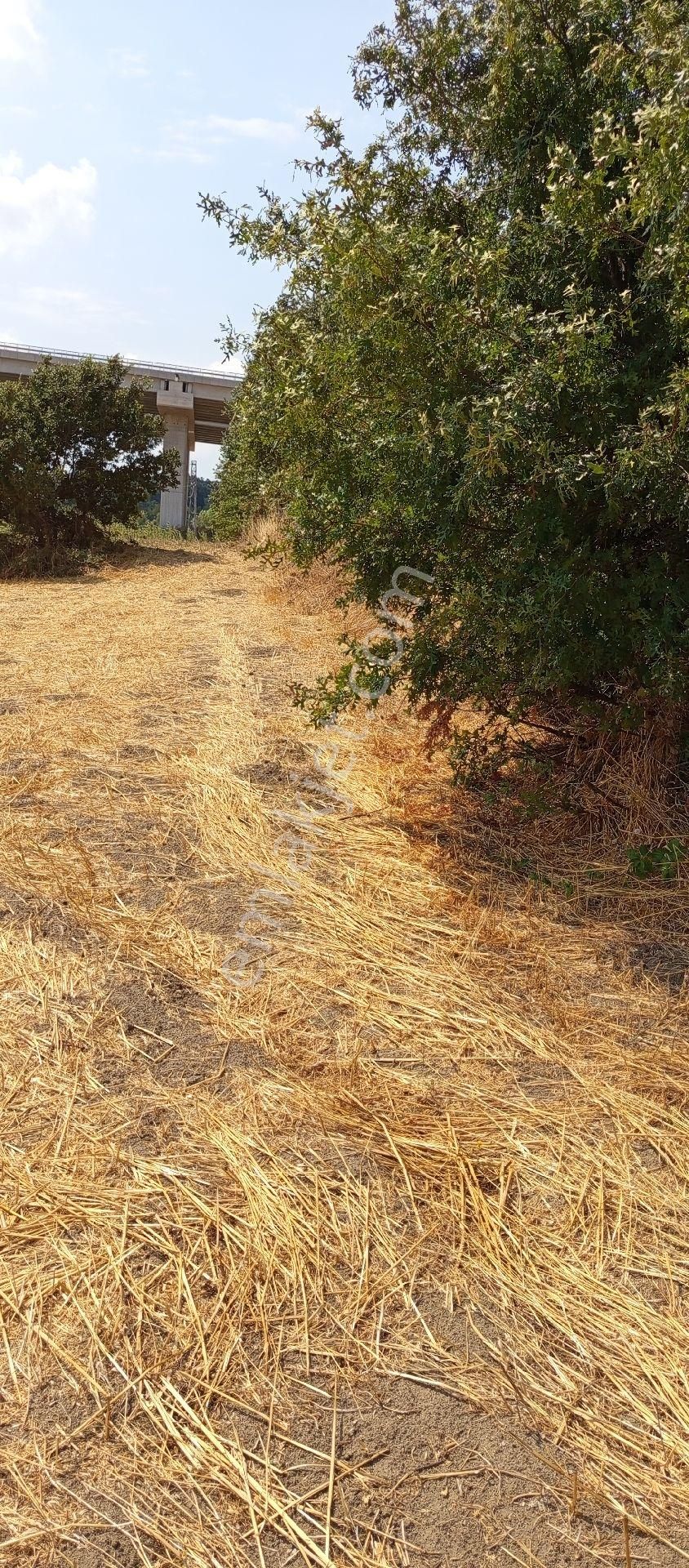 Bursa Nilüfer Çaylı Mahallesi Satılık 4.608 Mt Tarla - Görsel 9