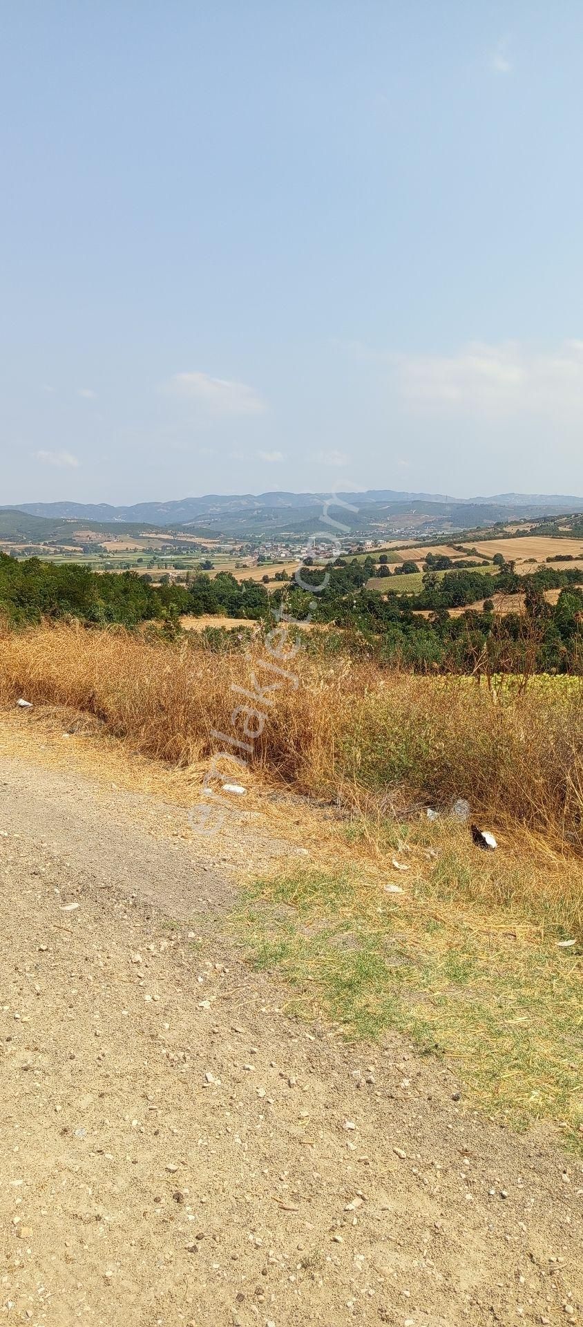 Bursa Nilüfer Çaylı Mahallesi Satılık 4.608 Mt Tarla - Görsel 3