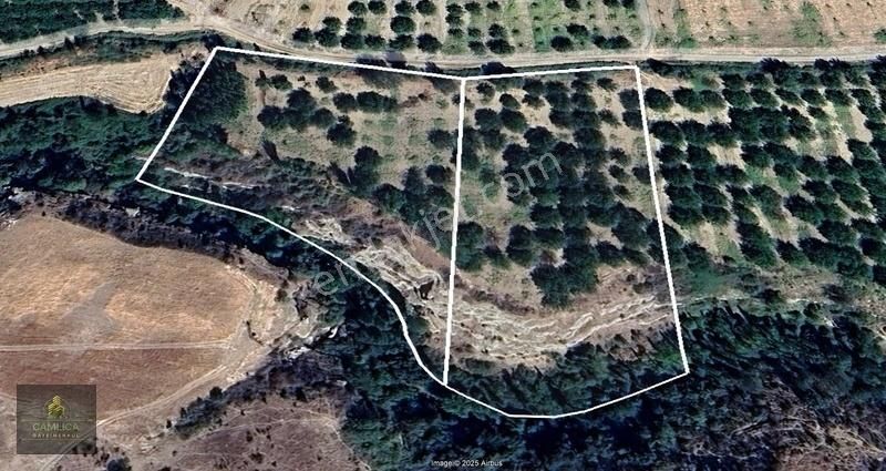 Çamlıca Gayrimenkul'den Akçadağ Ören'de Satılık Arsa