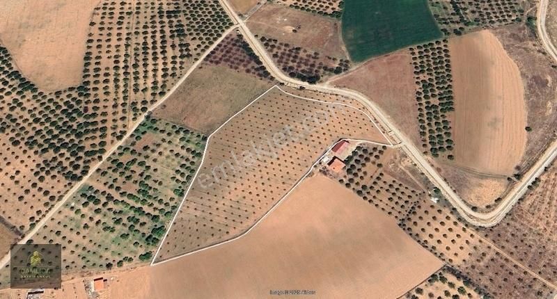 Çamlıca Gayrimenkul'den Akçadağ Pınarlı'da Satılık Arsa