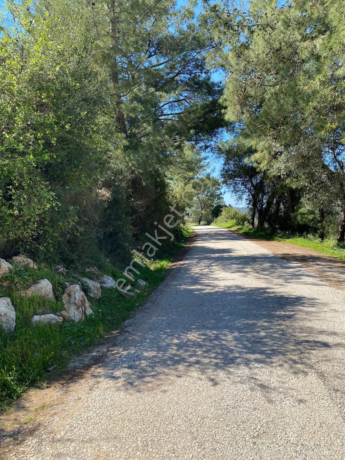 Orhaniye' De Yola Sıfır -- , Elektirikli Ve , Su Olan Yatırımlık Tarla - Görsel 3