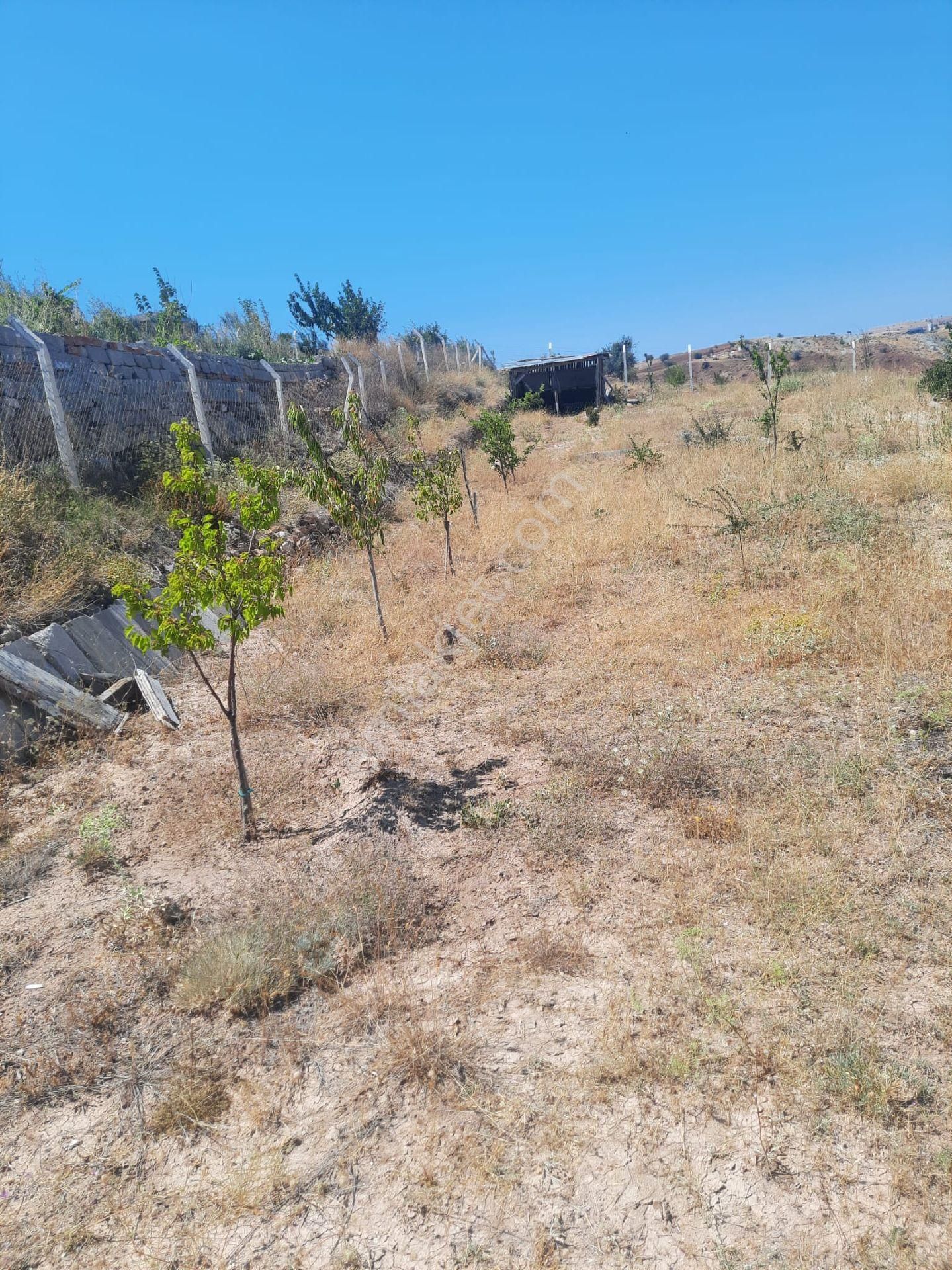 Ankara Yenimahalle Yakacık Arsa Hobi Bahçesi İmarsiz 1128 M2 Etrafı Tele Çevrili
