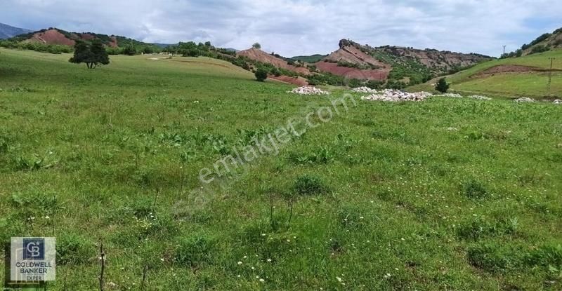 Tunceli Merkez Yatırıma Uygun Arsa
