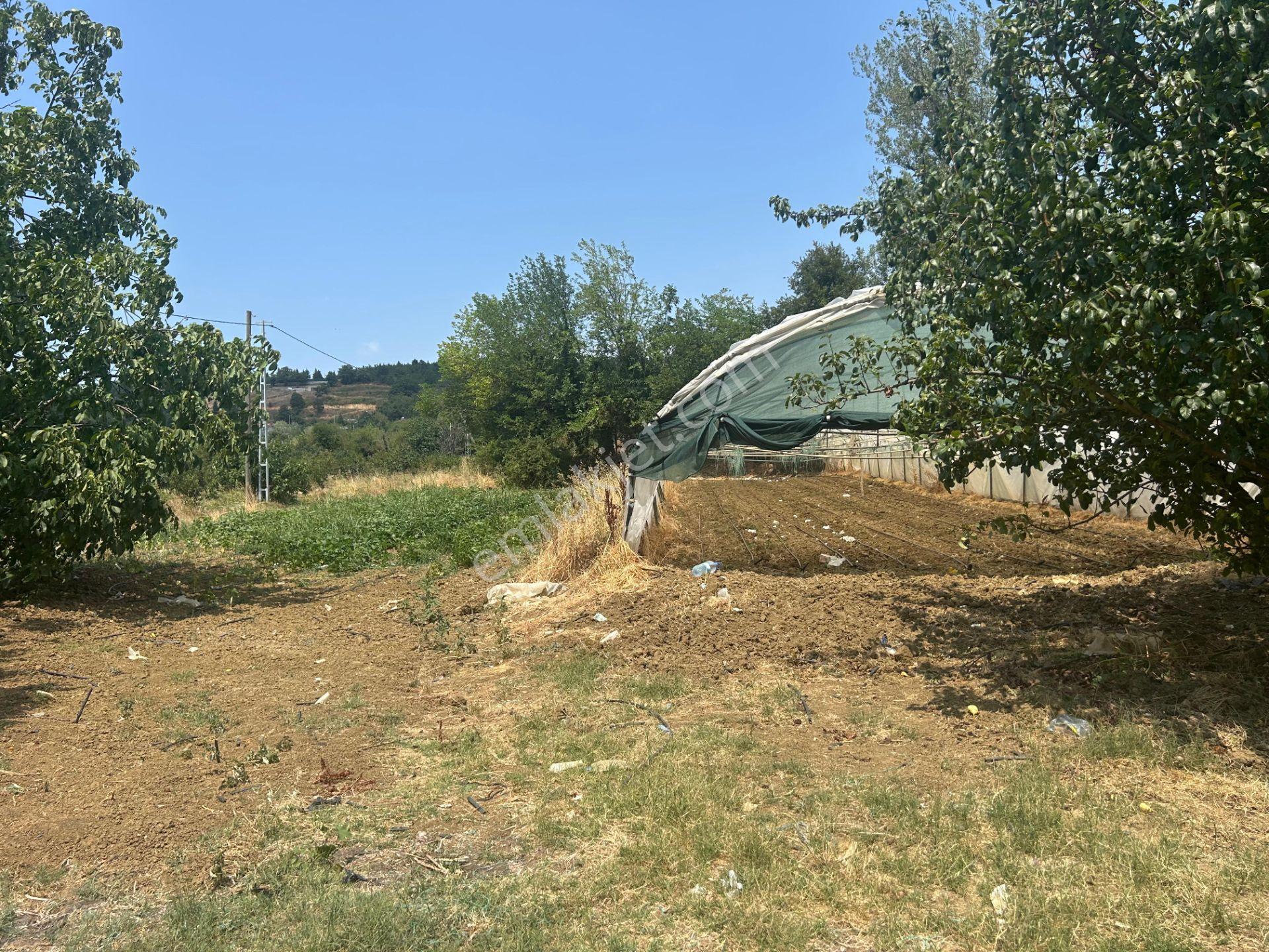 Kocaeli Karamürsel Karaahmetli Satılık 1979 M2 Bahçe - Görsel 13