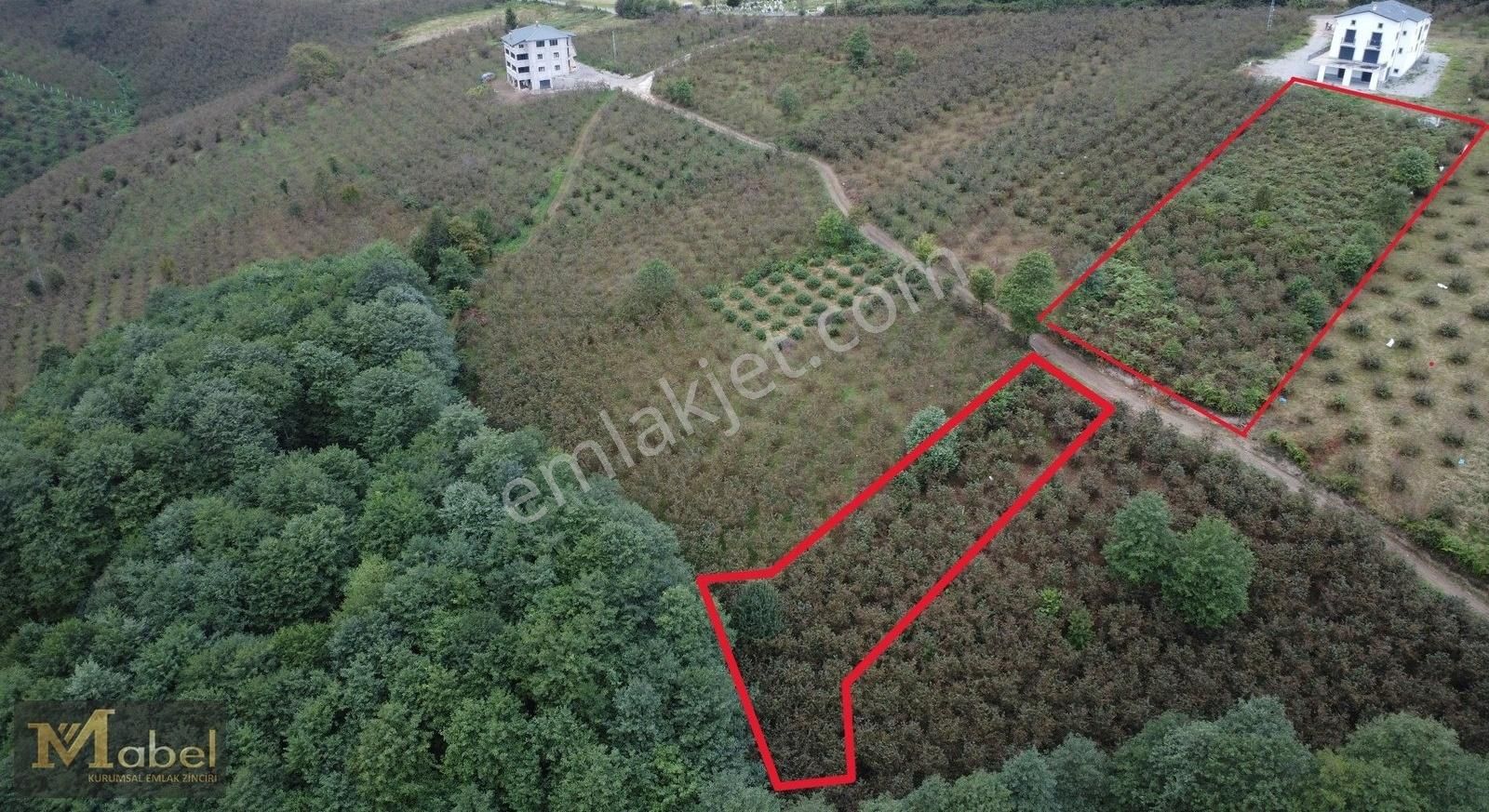 Mabel Gayrimenkul-korgan Sarıaliçte Uygun Fiyatta Fırsat Bahçe - Görsel 17