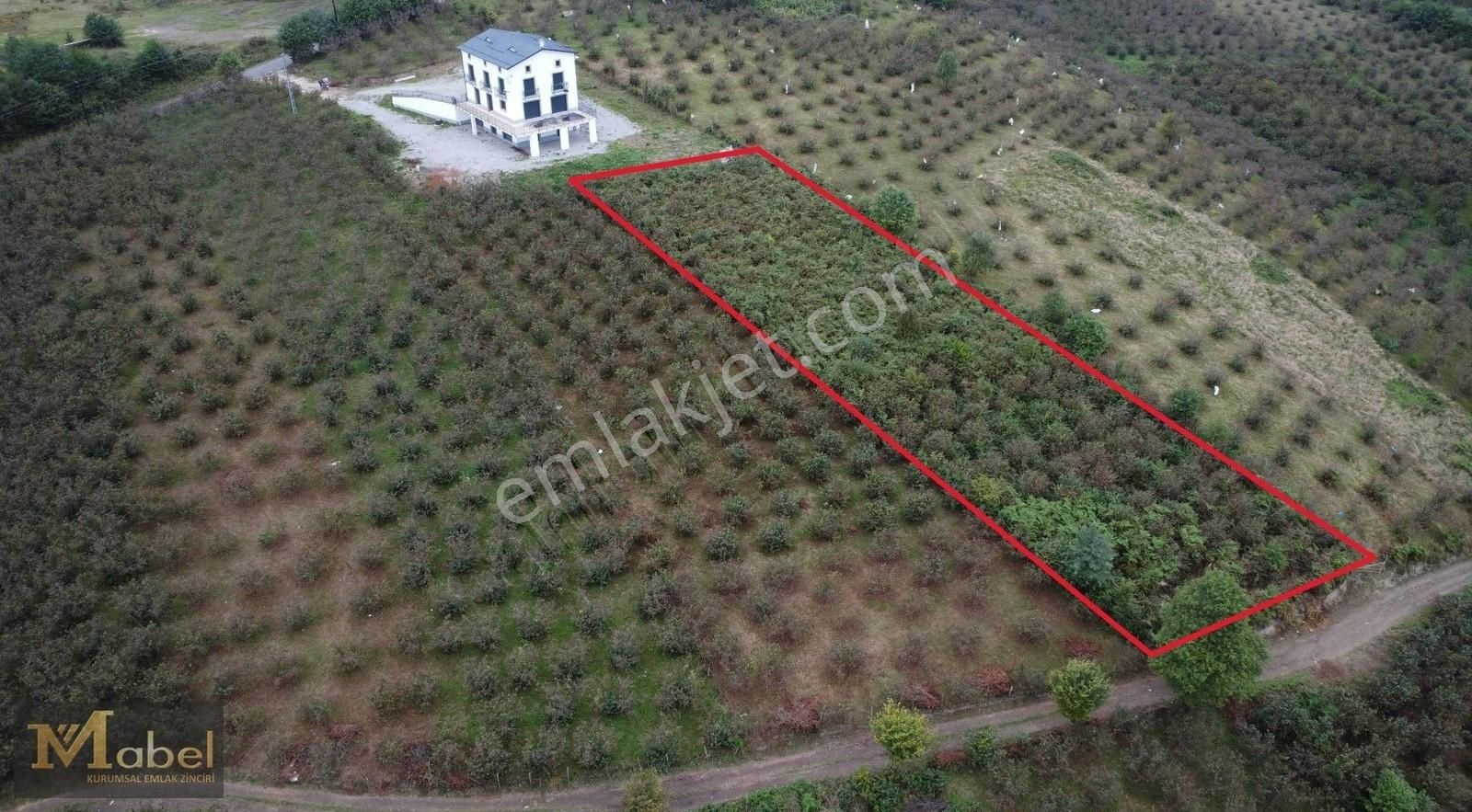 Mabel Gayrimenkul-korgan Sarıaliçte Uygun Fiyatta Fırsat Bahçe - Görsel 10
