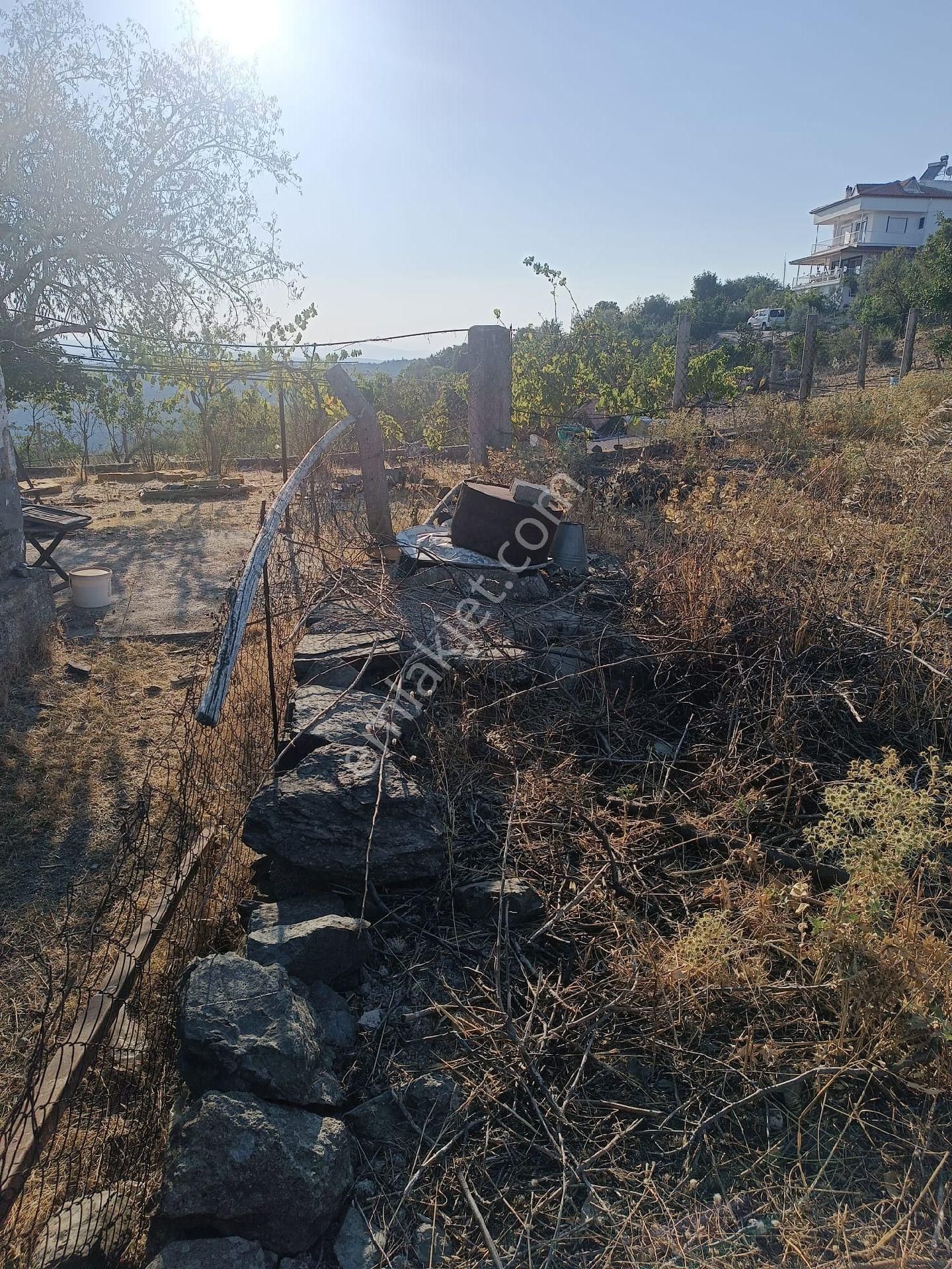 Seferihisar Gölcük, Tek Tapu 2 Kat İmarlı Köy İçi Arsa, 259 Mk ,yol Cepheli ,denize 12 Km - Görsel 3