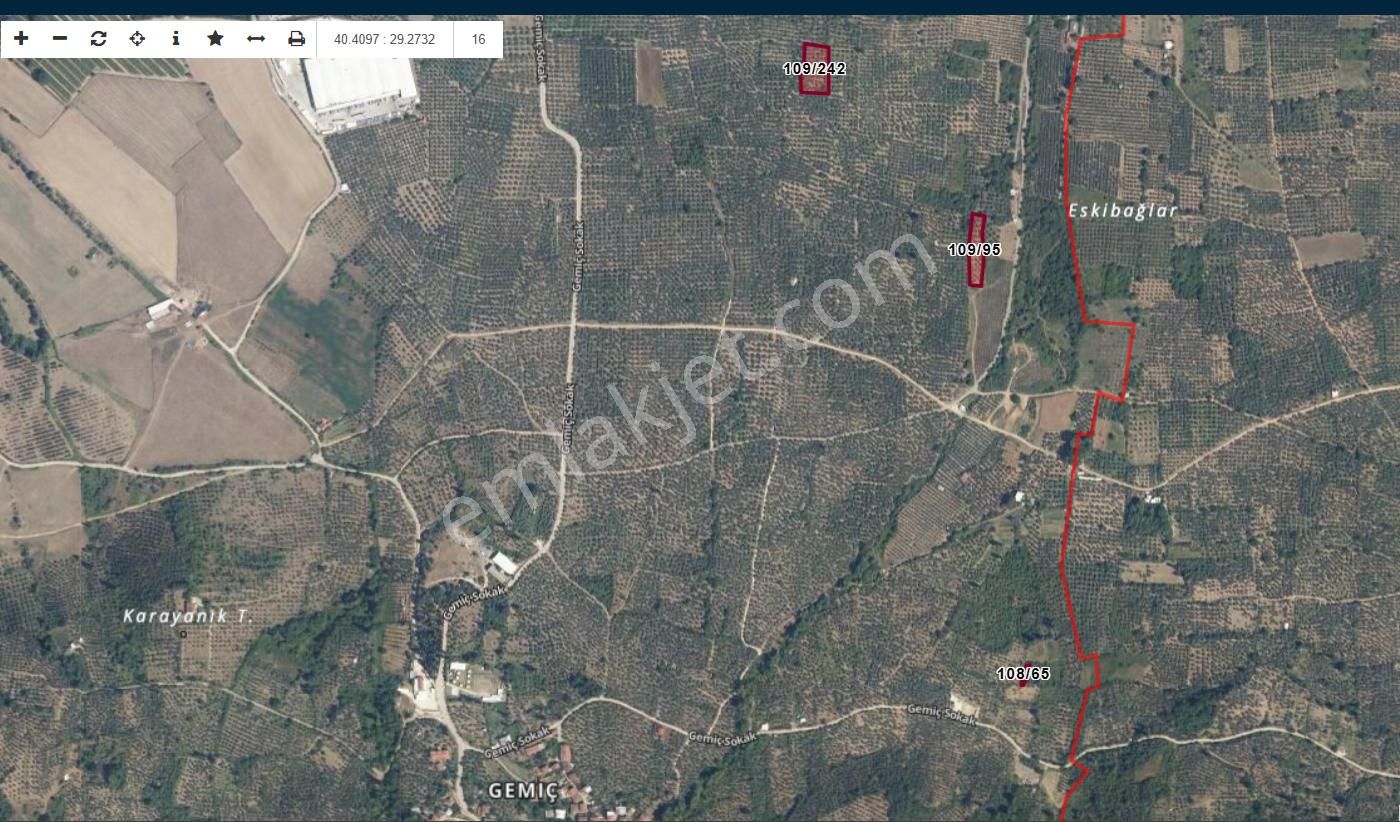 Bursa Orhangazi Gemiç Köyünde Satılık Verimli,bakımlı 2635 M2 Zeytinlik - Görsel 13