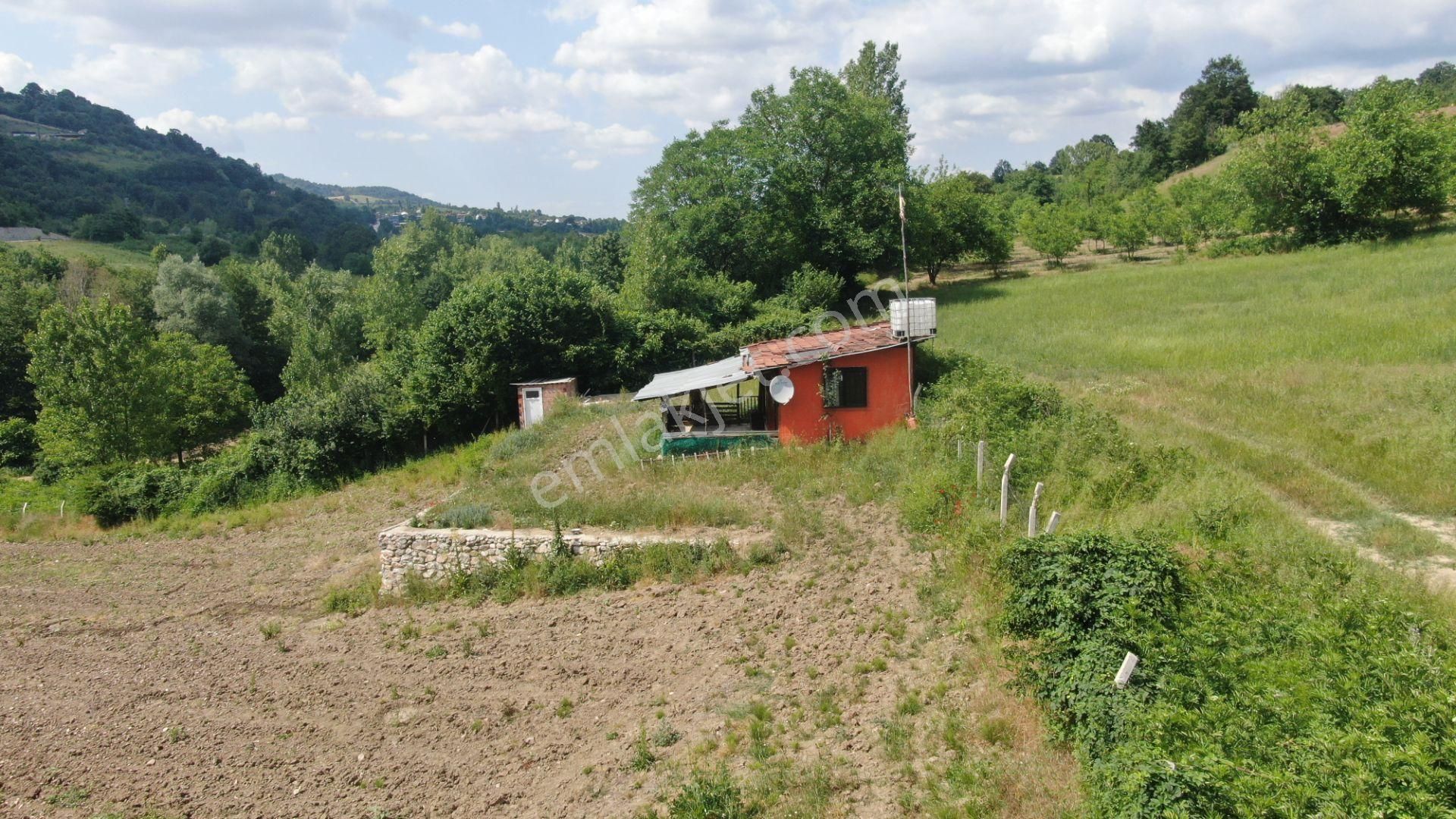Gündüzlü'de Dereboyu Satılık Hobi Evi Ve Bahçesi Yol+su Mevcut - Görsel 10