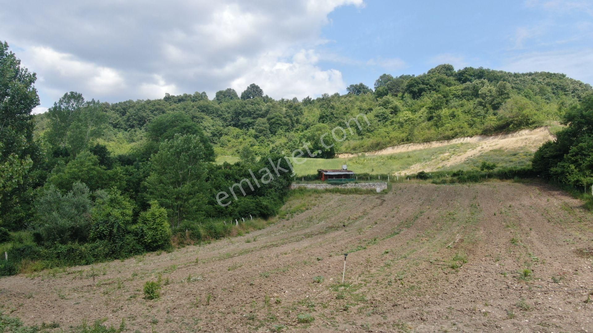 Gündüzlü'de Dereboyu Satılık Hobi Evi Ve Bahçesi Yol+su Mevcut - Görsel 13