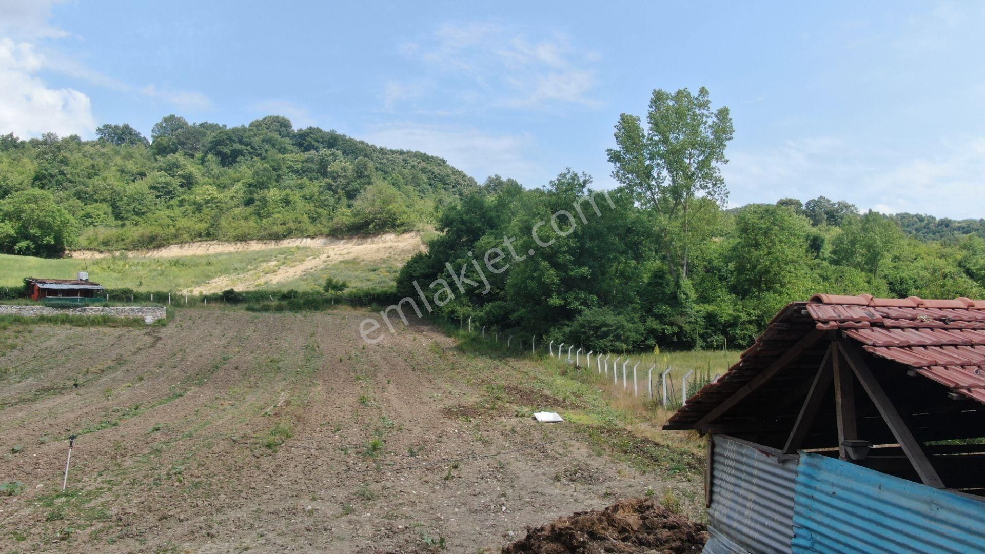 Gündüzlü'de Dereboyu Satılık Hobi Evi Ve Bahçesi Yol+su Mevcut - Görsel 14