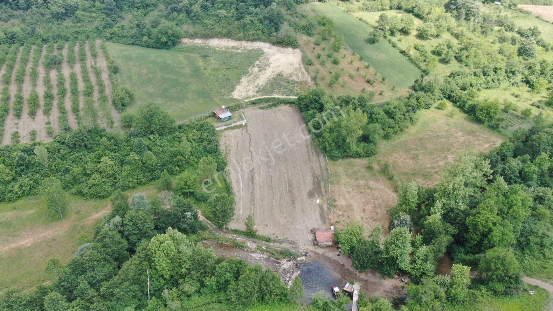 Gündüzlü'de Dereboyu Satılık Hobi Evi Ve Bahçesi Yol+su Mevcut - Görsel 7