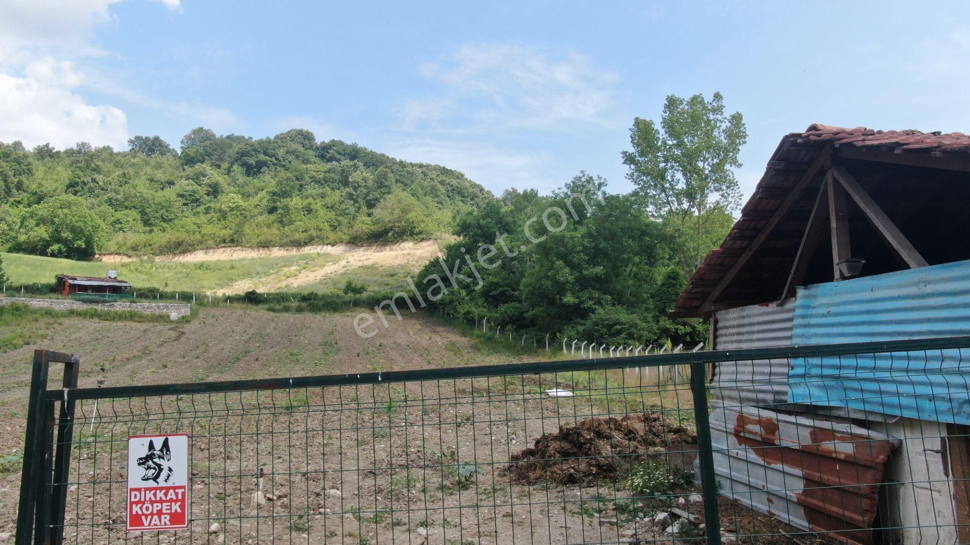 Gündüzlü'de Dereboyu Satılık Hobi Evi Ve Bahçesi Yol+su Mevcut - Görsel 15