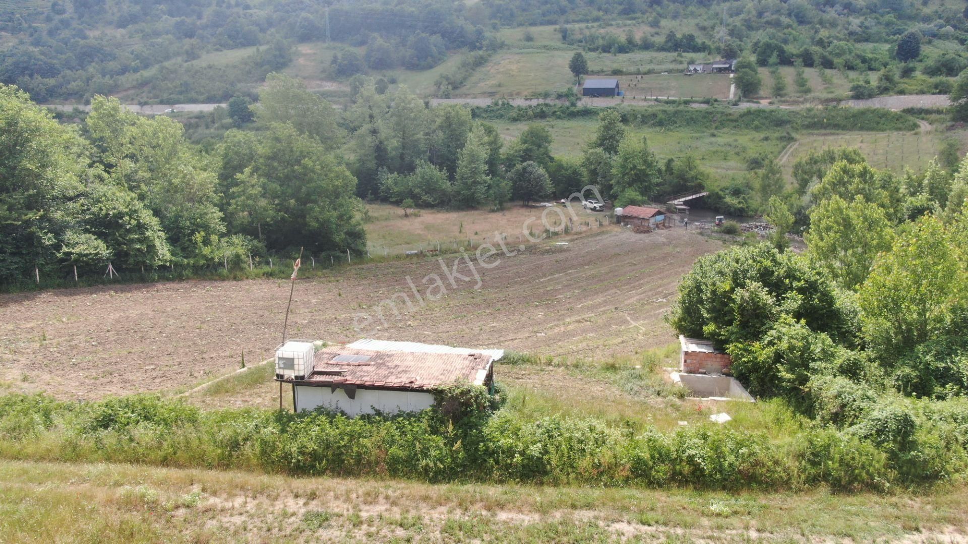 Gündüzlü'de Dereboyu Satılık Hobi Evi Ve Bahçesi Yol+su Mevcut - Görsel 23