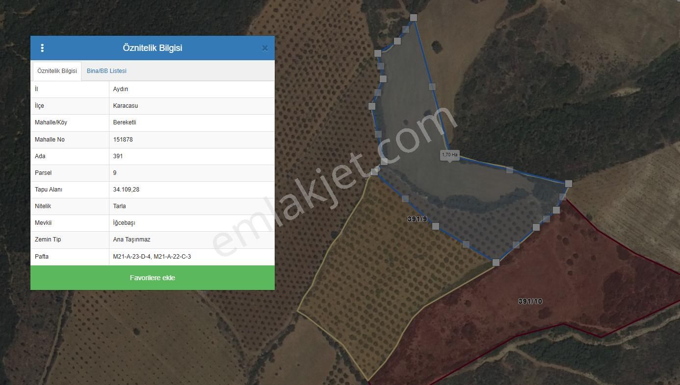 Karacasu Yakını Boş Tarla Ve Zeytinlik 23.544 M2 - Görsel 9