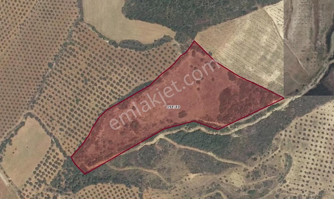 Karacasu Yakını Ekime Dikime Hazır Tarla 23.544 M2