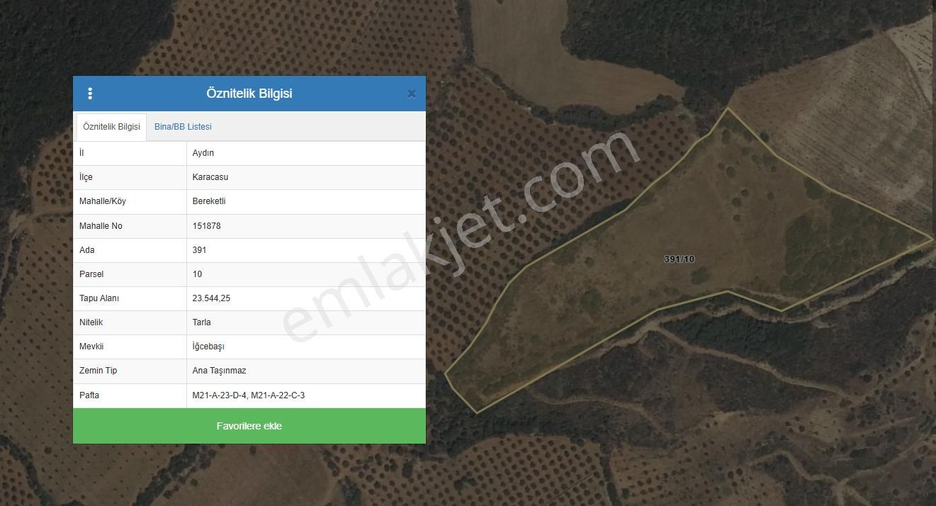 Karacasu Yakını Boş Tarla Ve Zeytinlik 23.544 M2 - Görsel 2