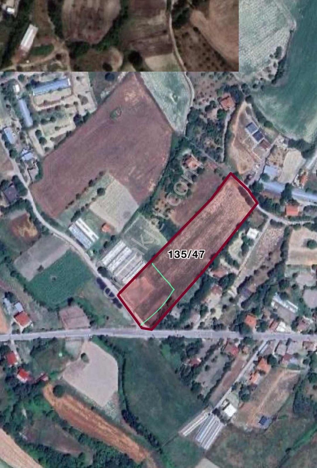 Alaçatı Dan Çatalca Yazlıkköy'de Köy İçi 915 M2 Çapı Muvafakat - Görsel 4