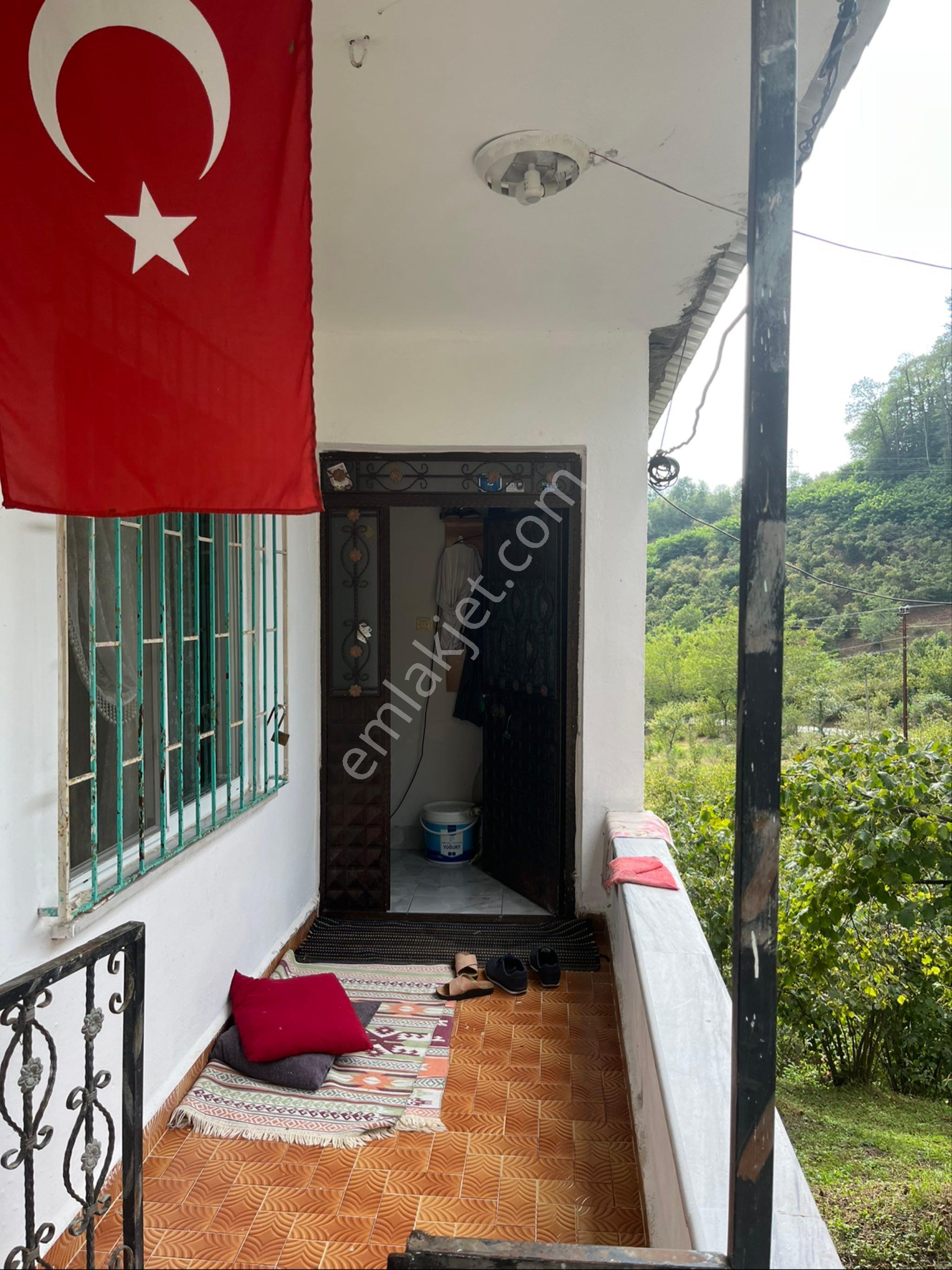 Z Grup Bolaman Hüsamoğlu Mah. 2700 M2 Fındık Bahçesi İçinde Satılık 3+1 Bina - Görsel 12