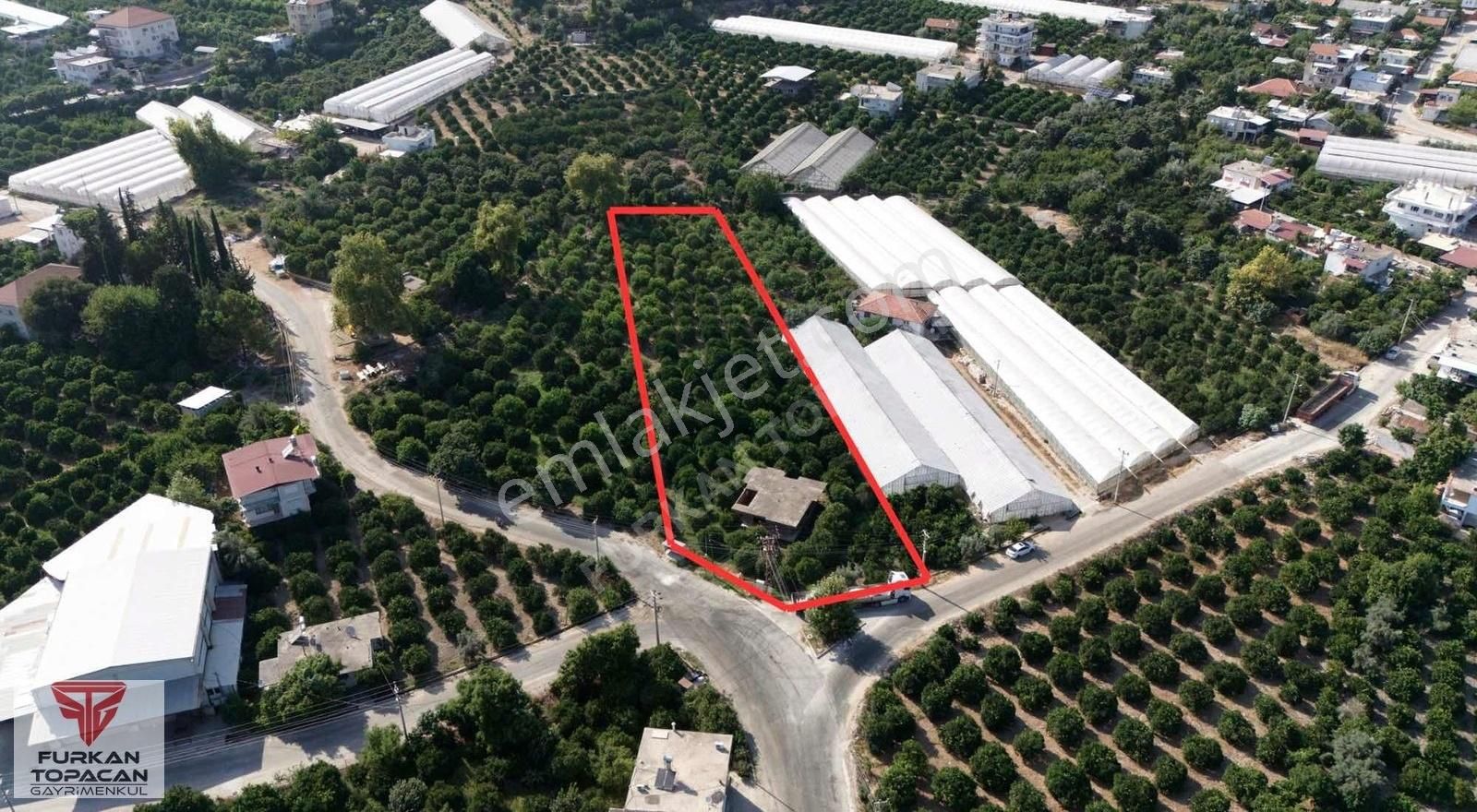 Furkan Topacan Gayrimenkul'den Satılık Portakal Bahçesi