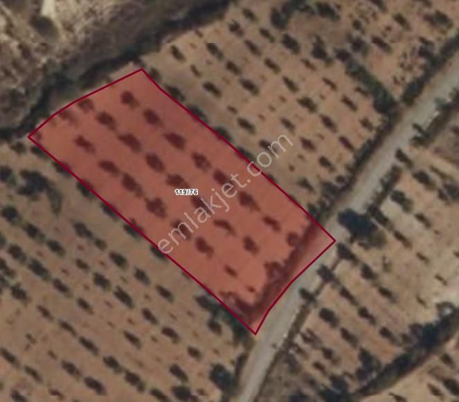 Cevizli Köyünde Asfalt Üzeri Bağ Evi İçin Uygun Arazi.