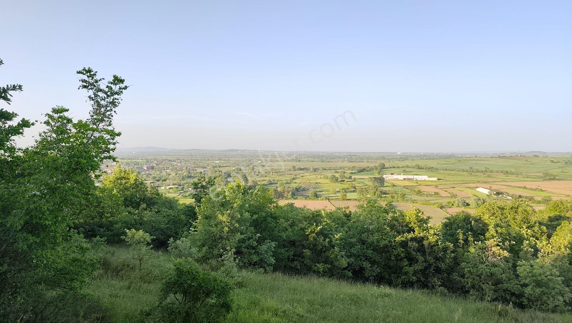 19.850 M² Bitişik 2 Tarla! | Kadastro Yola Cephe, Su Kanalına 500m, Yatırım & Çiftlik Fırsatı! - Görsel 24