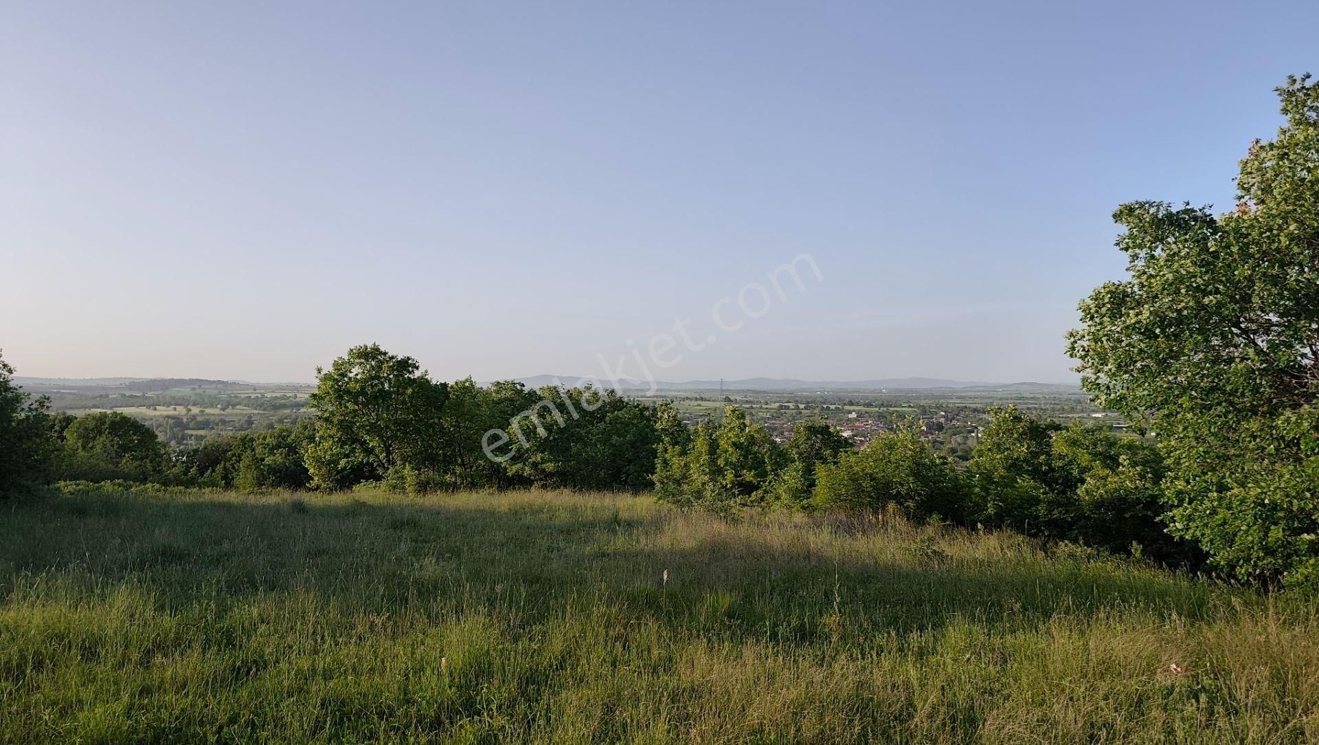 19.850 M² Bitişik 2 Tarla! | Kadastro Yola Cephe, Su Kanalına 500m, Yatırım & Çiftlik Fırsatı! - Görsel 21