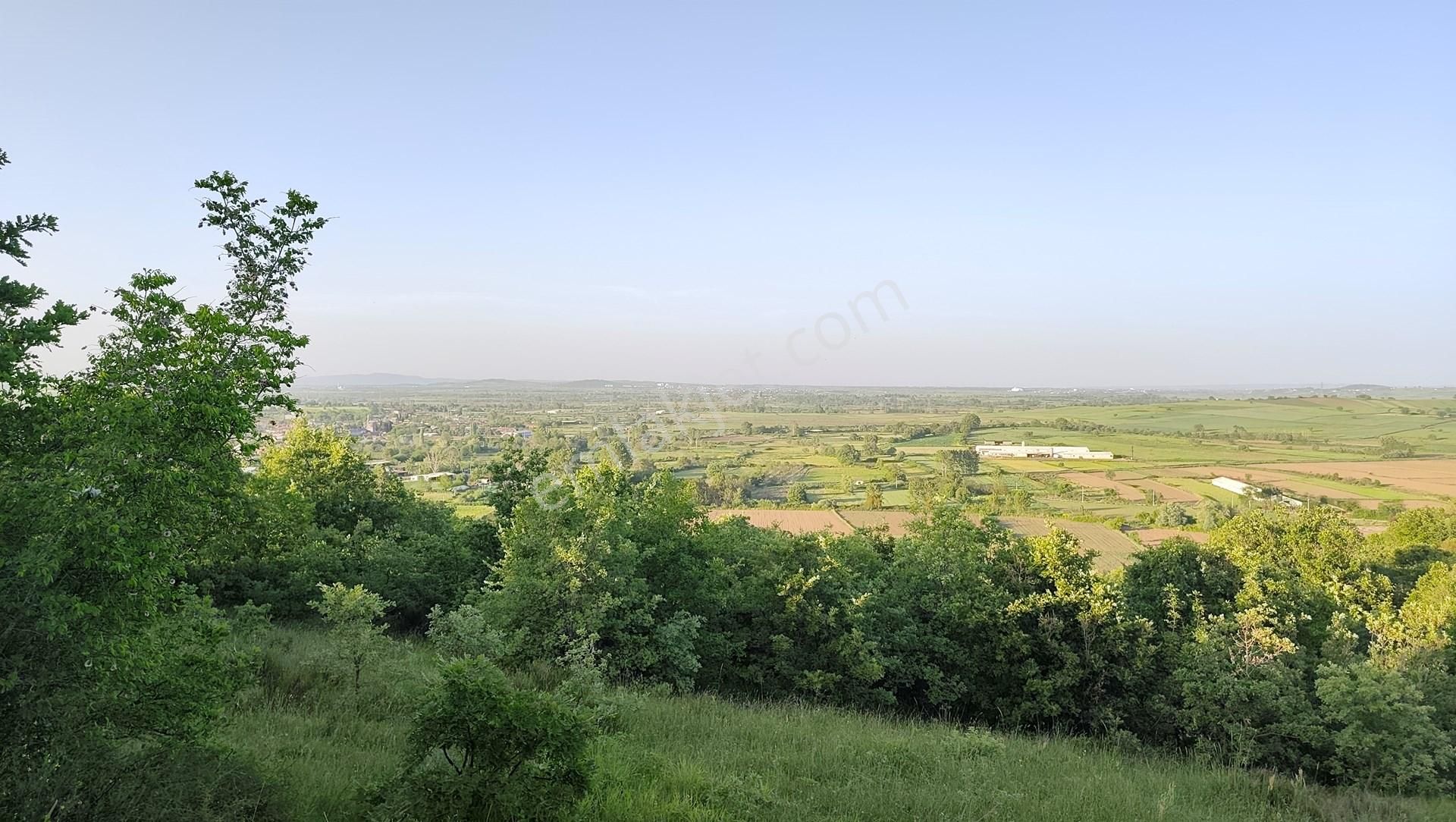 19.850 M² Bitişik 2 Tarla! | Kadastro Yola Cephe, Su Kanalına 500m, Yatırım & Çiftlik Fırsatı! - Görsel 2