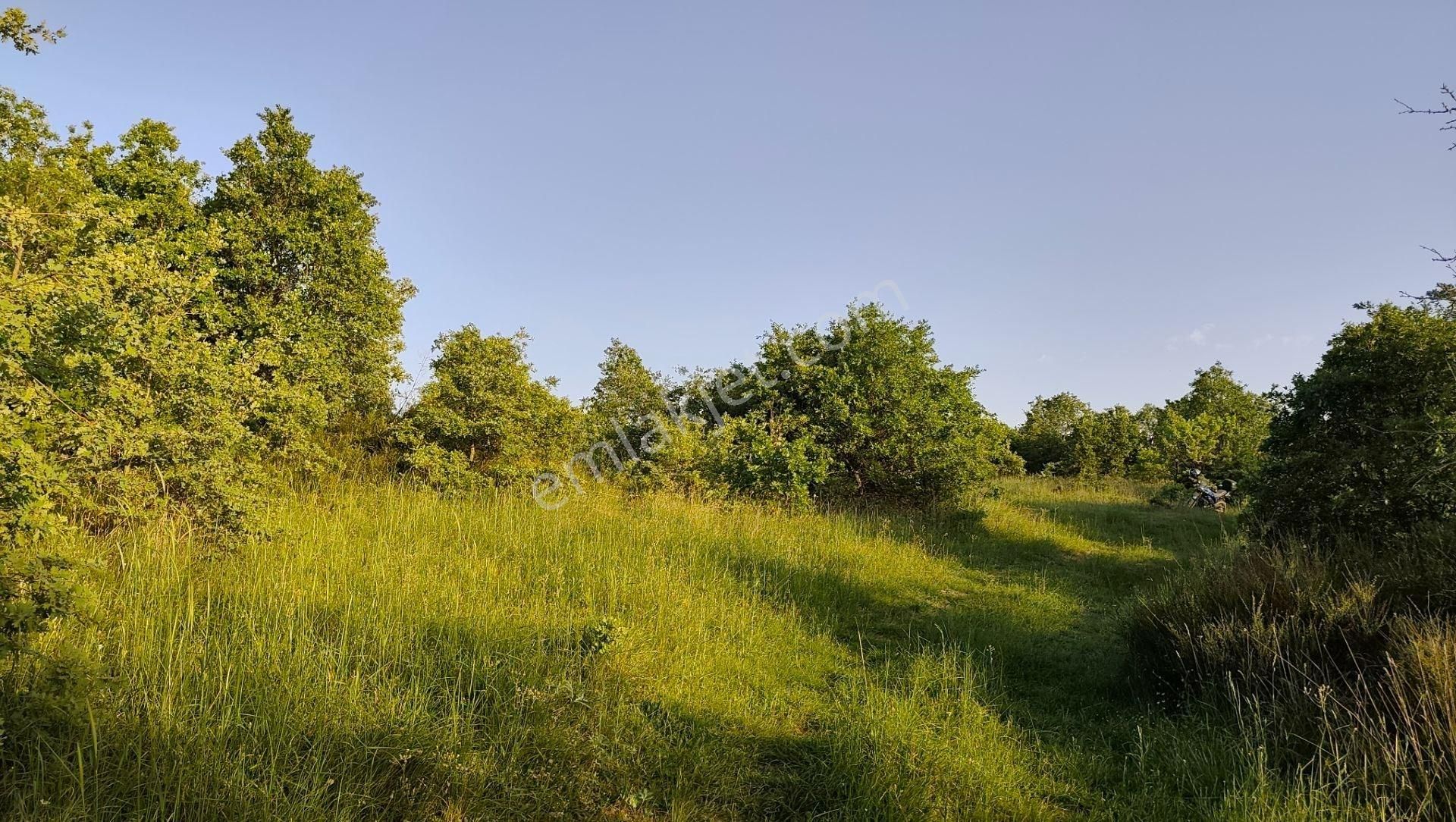19.850 M² Bitişik 2 Tarla! | Kadastro Yola Cephe, Su Kanalına 500m, Yatırım & Çiftlik Fırsatı! - Görsel 31
