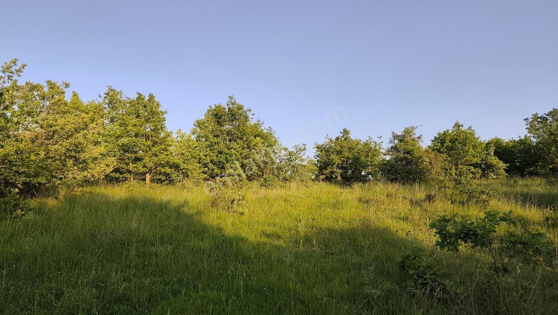 19.850 M² Bitişik 2 Tarla! | Kadastro Yola Cephe, Su Kanalına 500m, Yatırım & Çiftlik Fırsatı! - Görsel 15