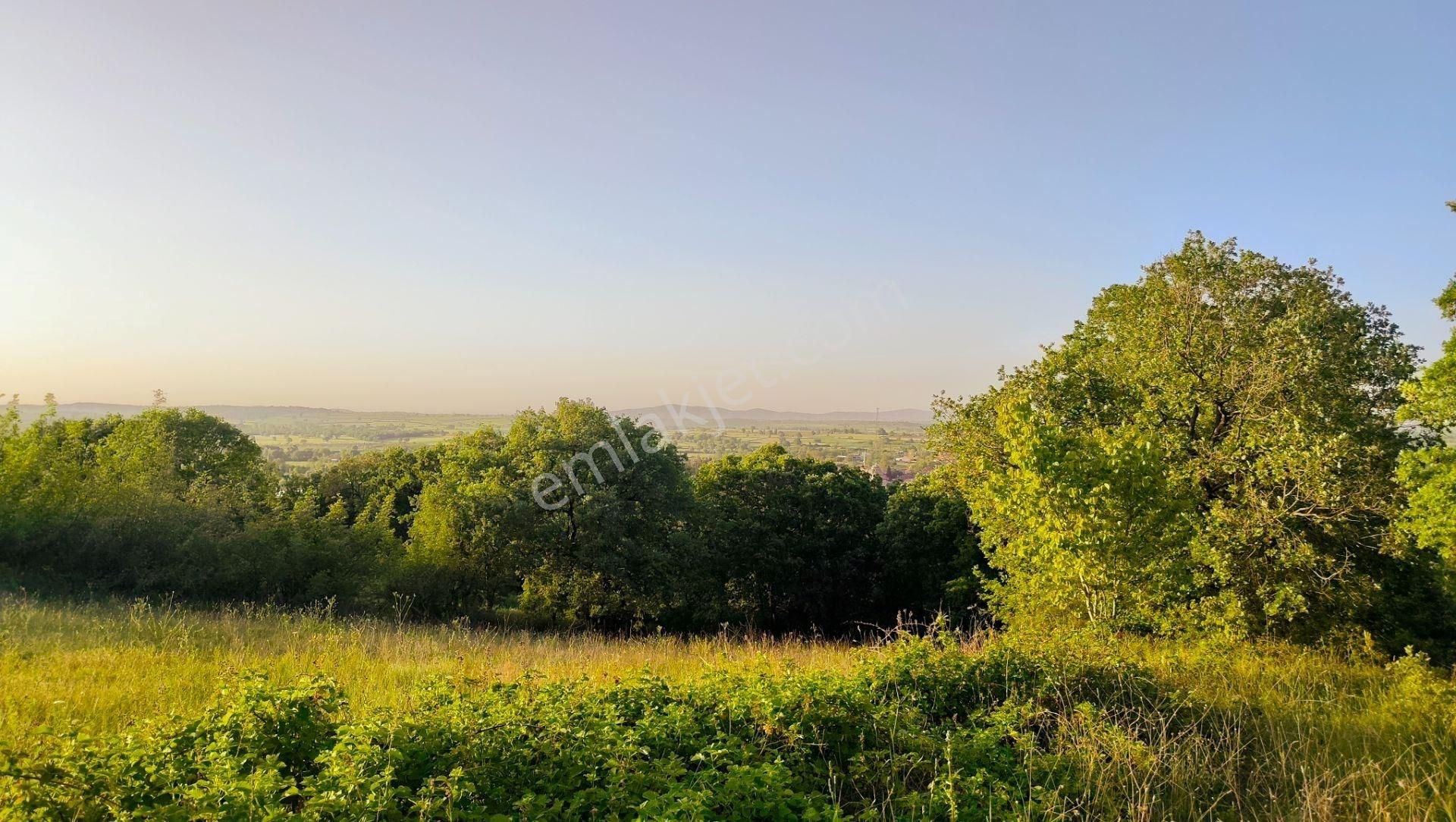 19.850 M² Bitişik 2 Tarla! | Kadastro Yola Cephe, Su Kanalına 500m, Yatırım & Çiftlik Fırsatı! - Görsel 30