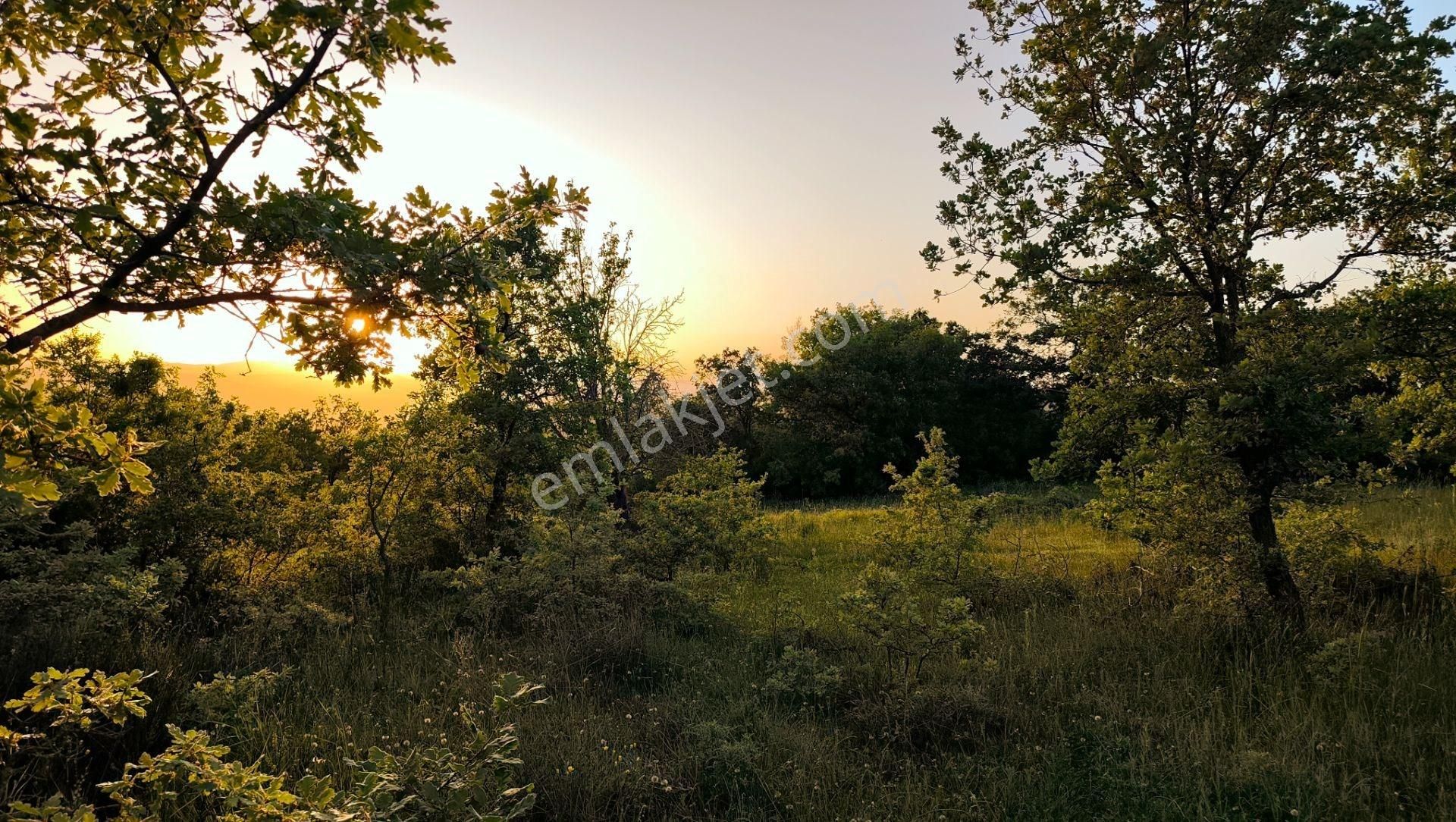 19.850 M² Bitişik 2 Tarla! | Kadastro Yola Cephe, Su Kanalına 500m, Yatırım & Çiftlik Fırsatı! - Görsel 34