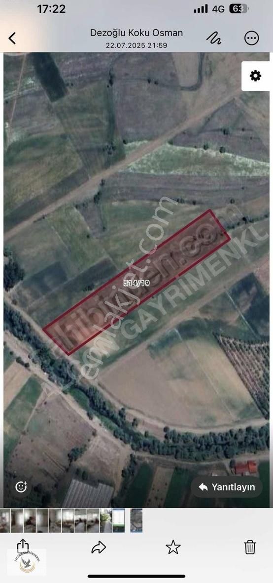 Falcon Dan Yayla Ceylanda Kaçırılmayacak Fırsat