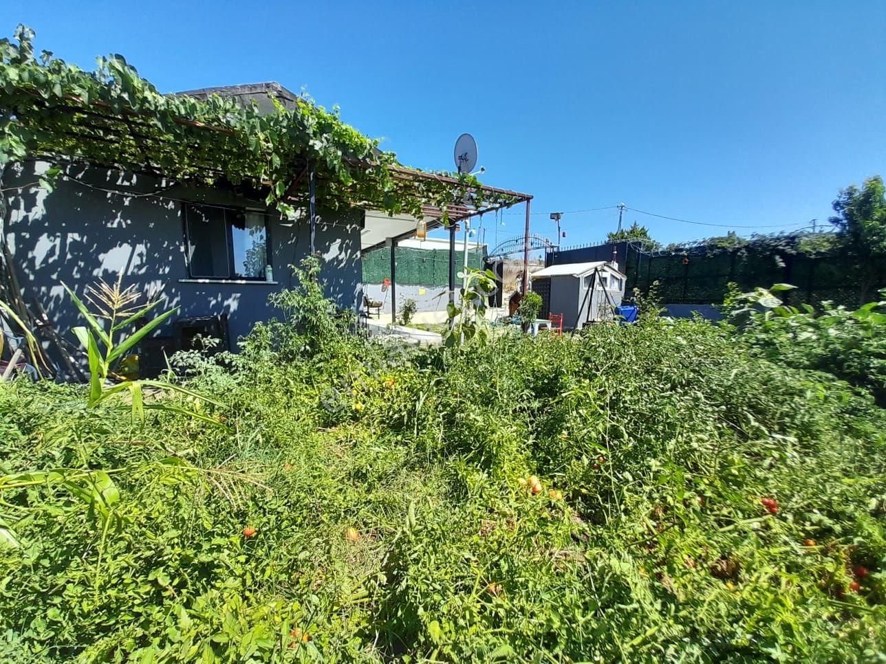 Çatalca'da Mükemmel Konumda 595 M² İçinde Müstakil Ev - Görsel 10