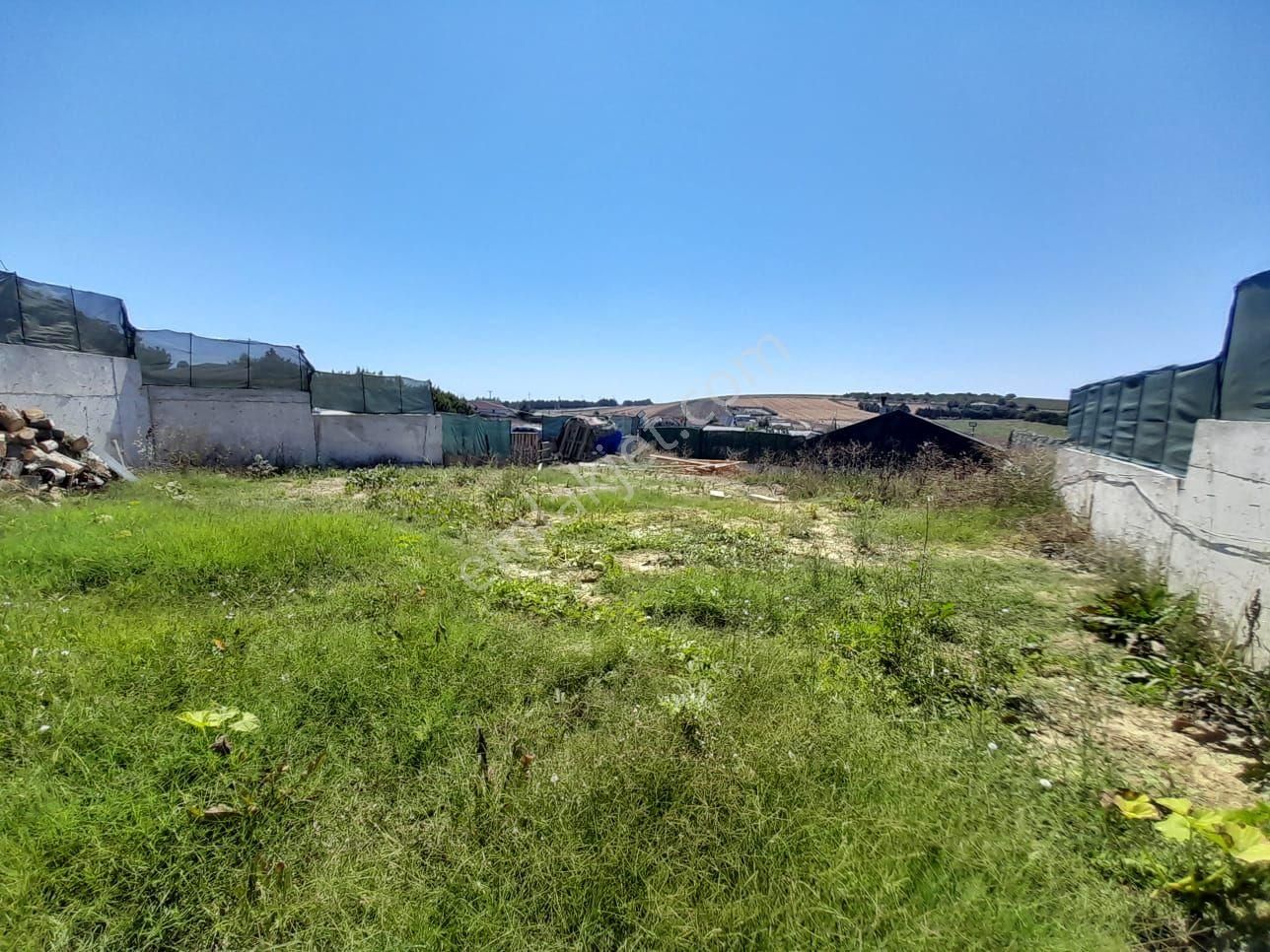 Çatalca'da Mükemmel Konumda 595 M² İçinde Müstakil Ev - Görsel 24