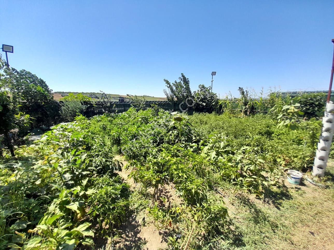 Çatalca'da Mükemmel Konumda 595 M² İçinde Müstakil Ev - Görsel 9