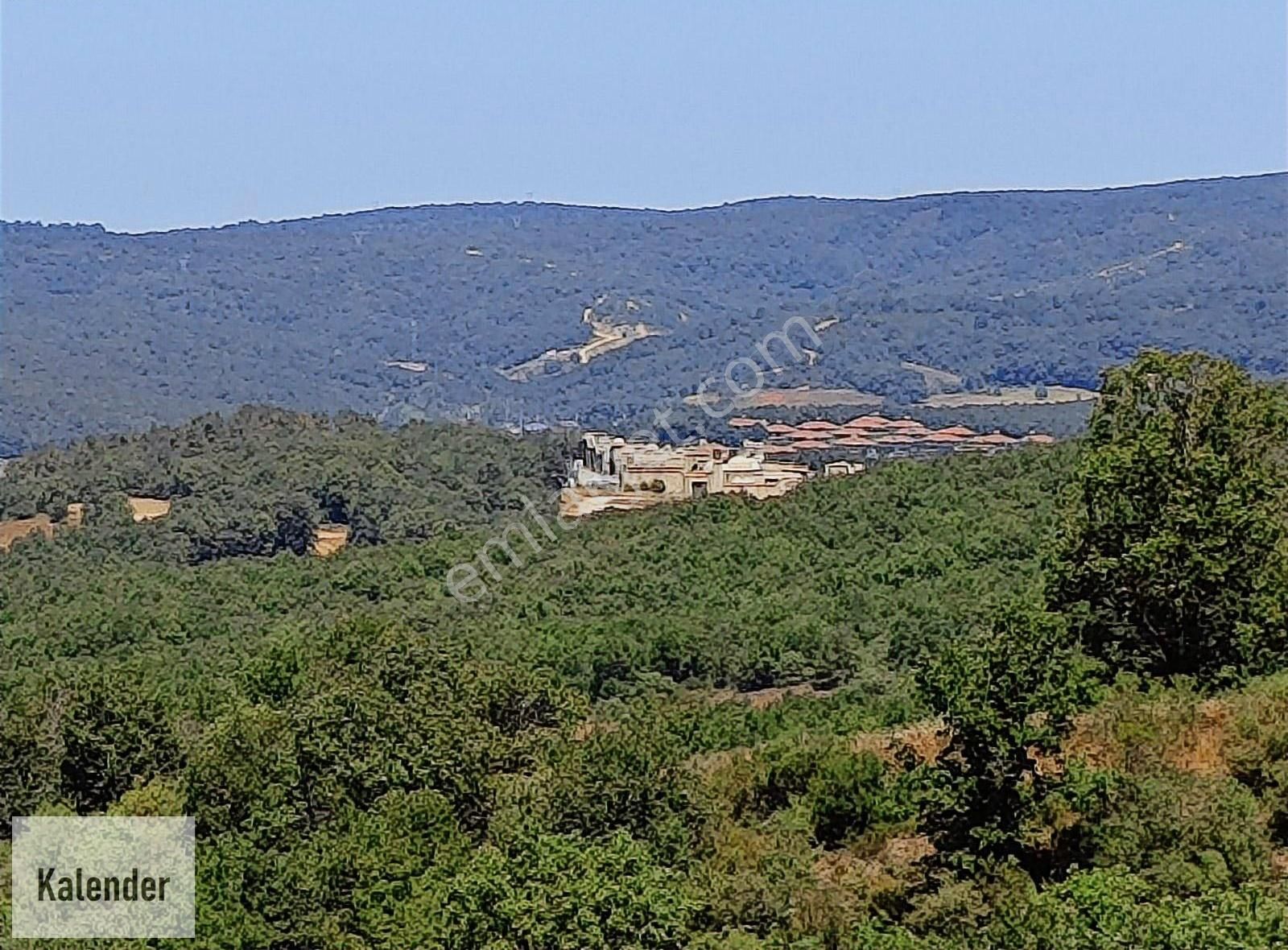 Gebze Kadıllı Köyünde 8 Dönüm Müstakil Arazi - Görsel 12