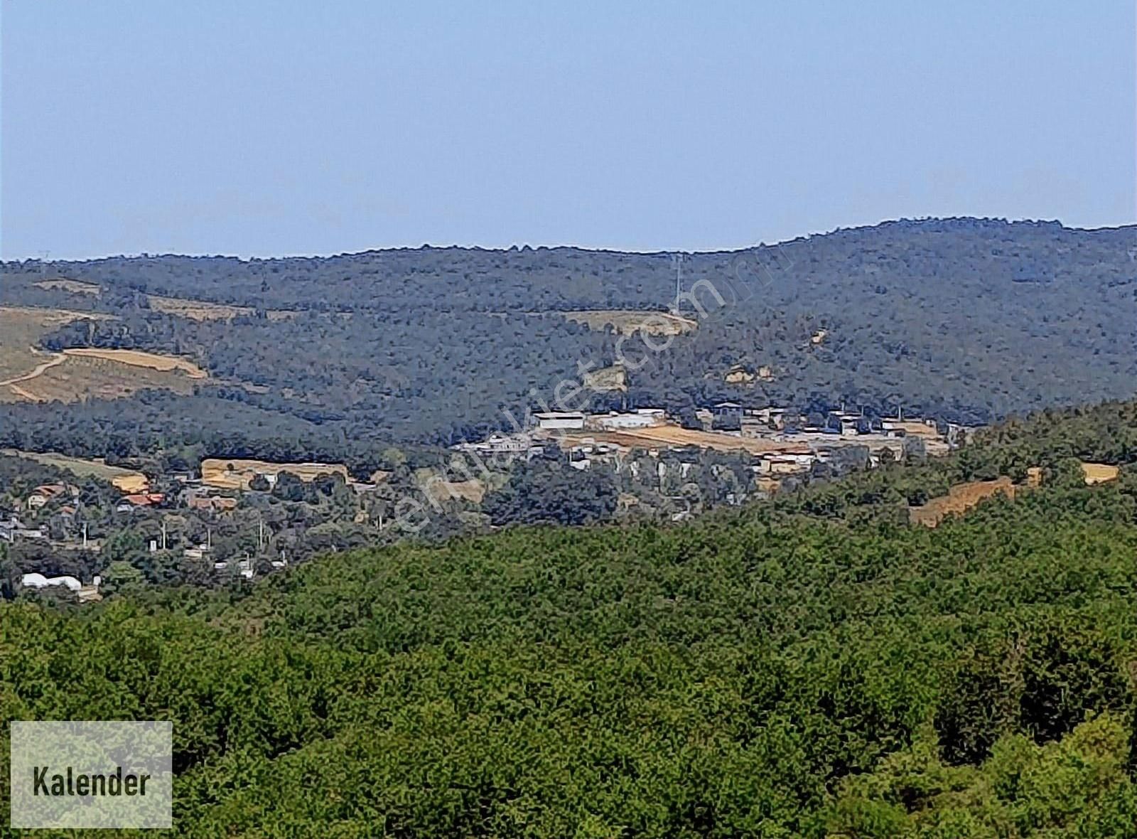 Gebze Kadıllı Köyünde 8 Dönüm Müstakil Arazi - Görsel 5