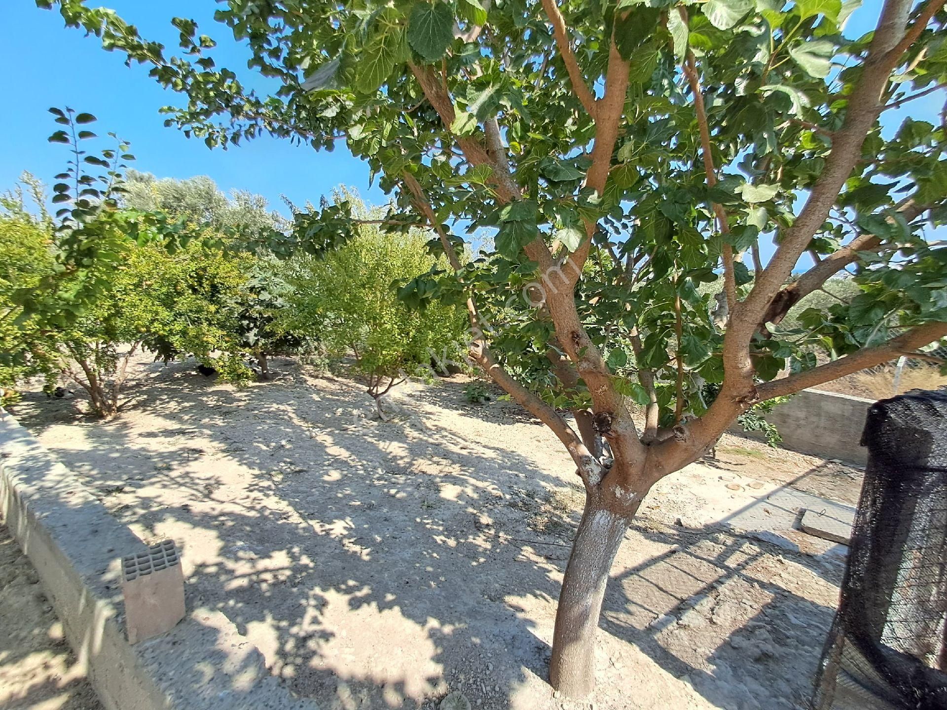 Karataş'ta Lux Deniz Manzaralı 1 Dönüm Arsa Üstüne Kurulu 2 Katlı 2 Daire Satılık Müstakil Ev - Görsel 25