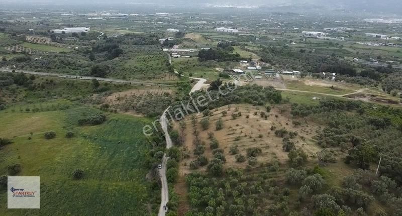 Startkey Star'dan Çambel De Yola Cepheli Yatırımlık Zeytinli Bağ - Görsel 15