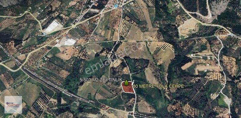 Startkey Star'dan Çambel De Yola Cepheli Yatırımlık Zeytinli Bağ - Görsel 17
