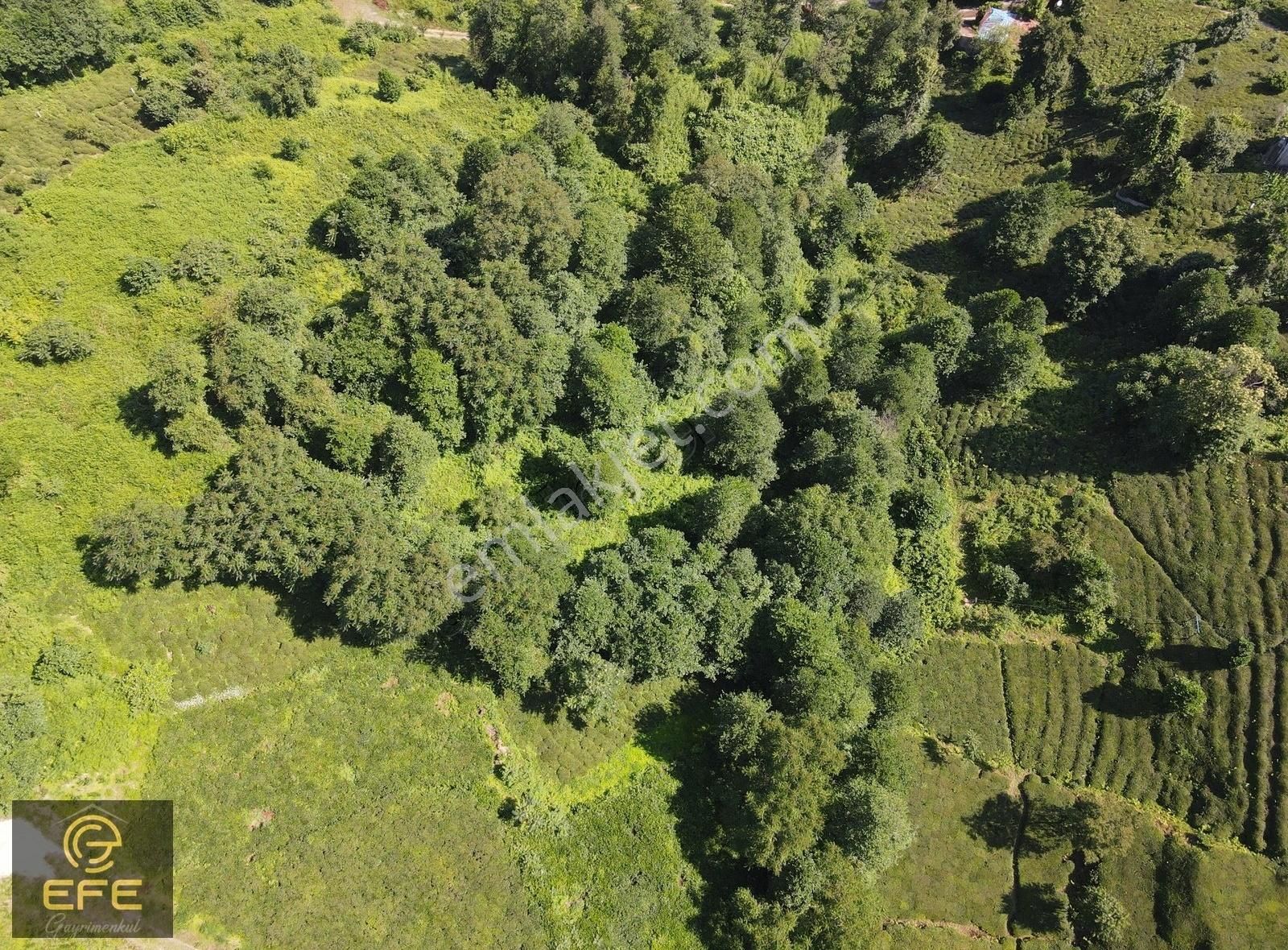 Efe Gayrimenkulden Rize İyidere De Satılık Arsa