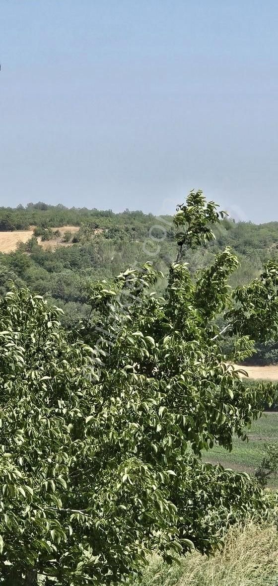 5550m Asvalata Cepheli Tokiye 2km Yenişehire 5km Hisse - Görsel 5