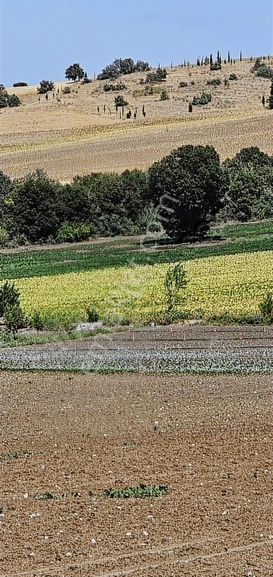 5550m Asvalata Cepheli Tokiye 2km Yenişehire 5km Hisse - Görsel 2