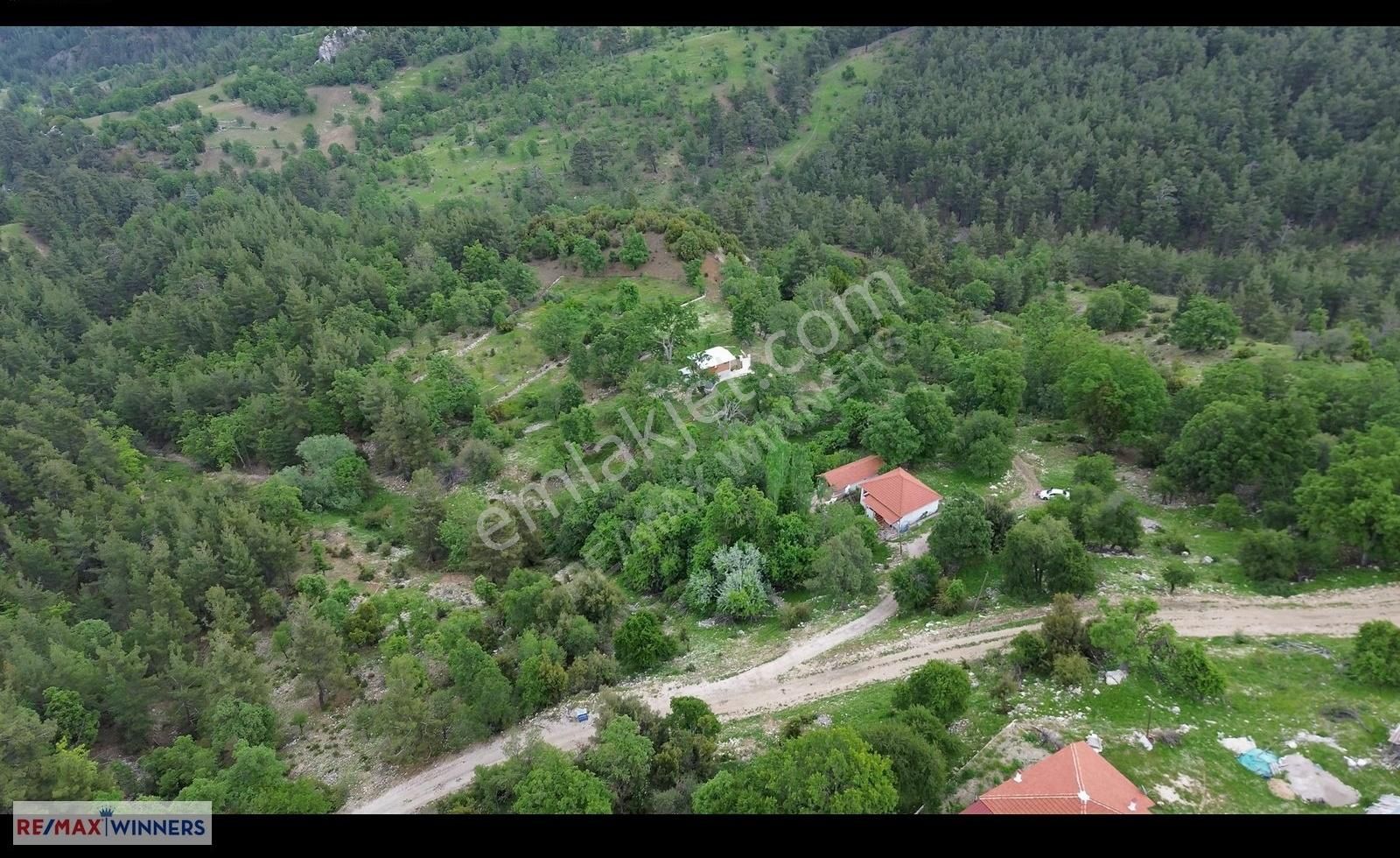 Gölcük Mah. Fındıklı Mevkii 172m² Doğa İçinde Hobi Bahçesi - Görsel 10