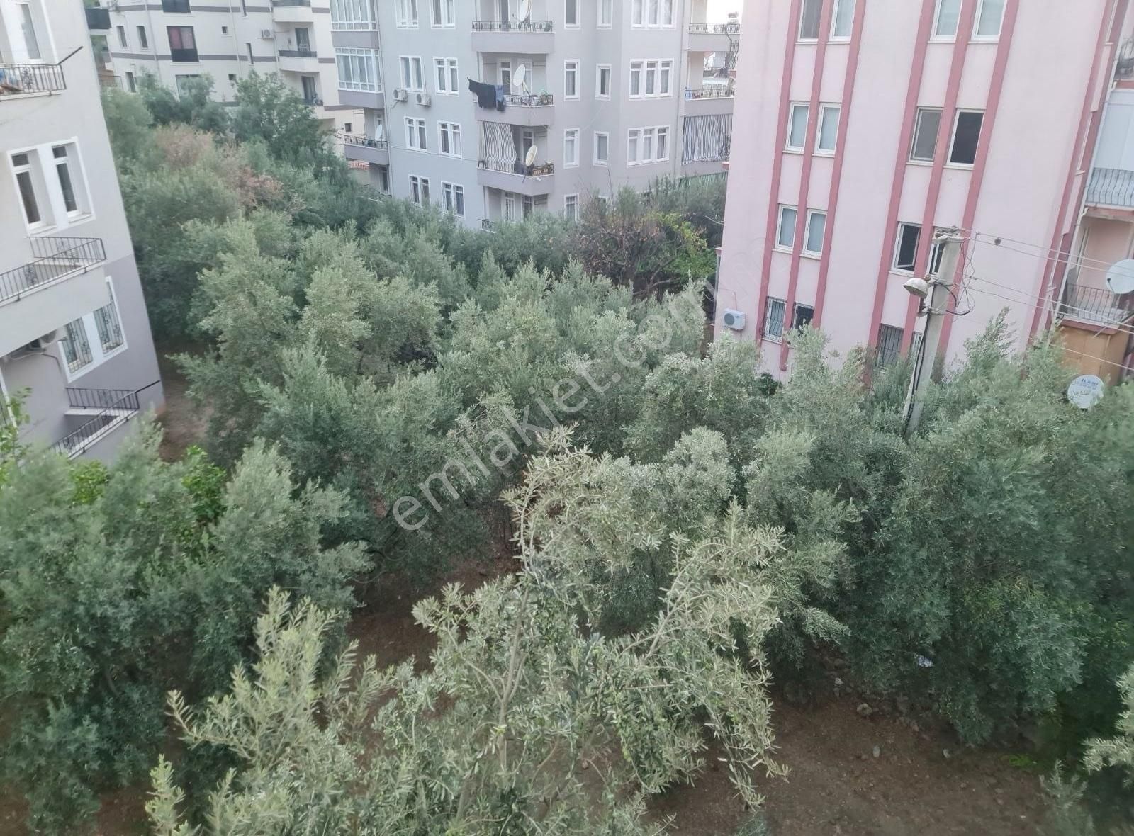 Patlangıc Mah. Satılık - Görsel 24