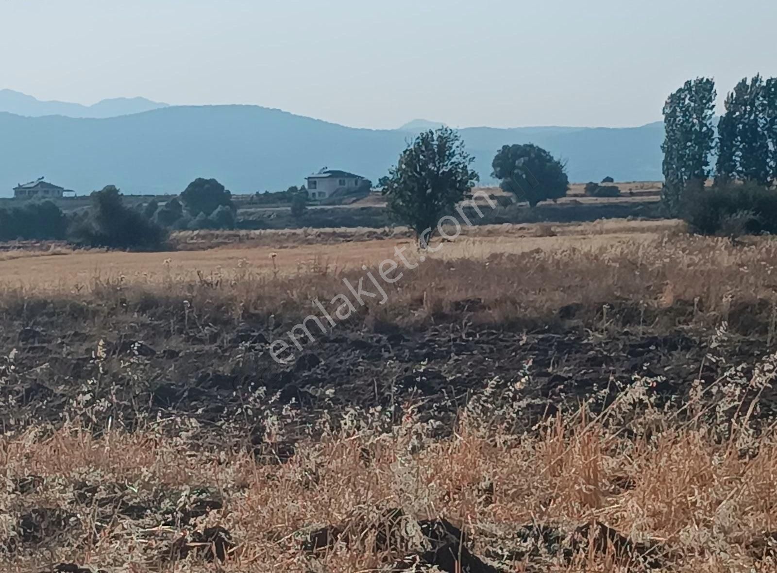 Uygun Fiyata Seki -ceylan Anayol Kenari Satilik Tarla - Görsel 30